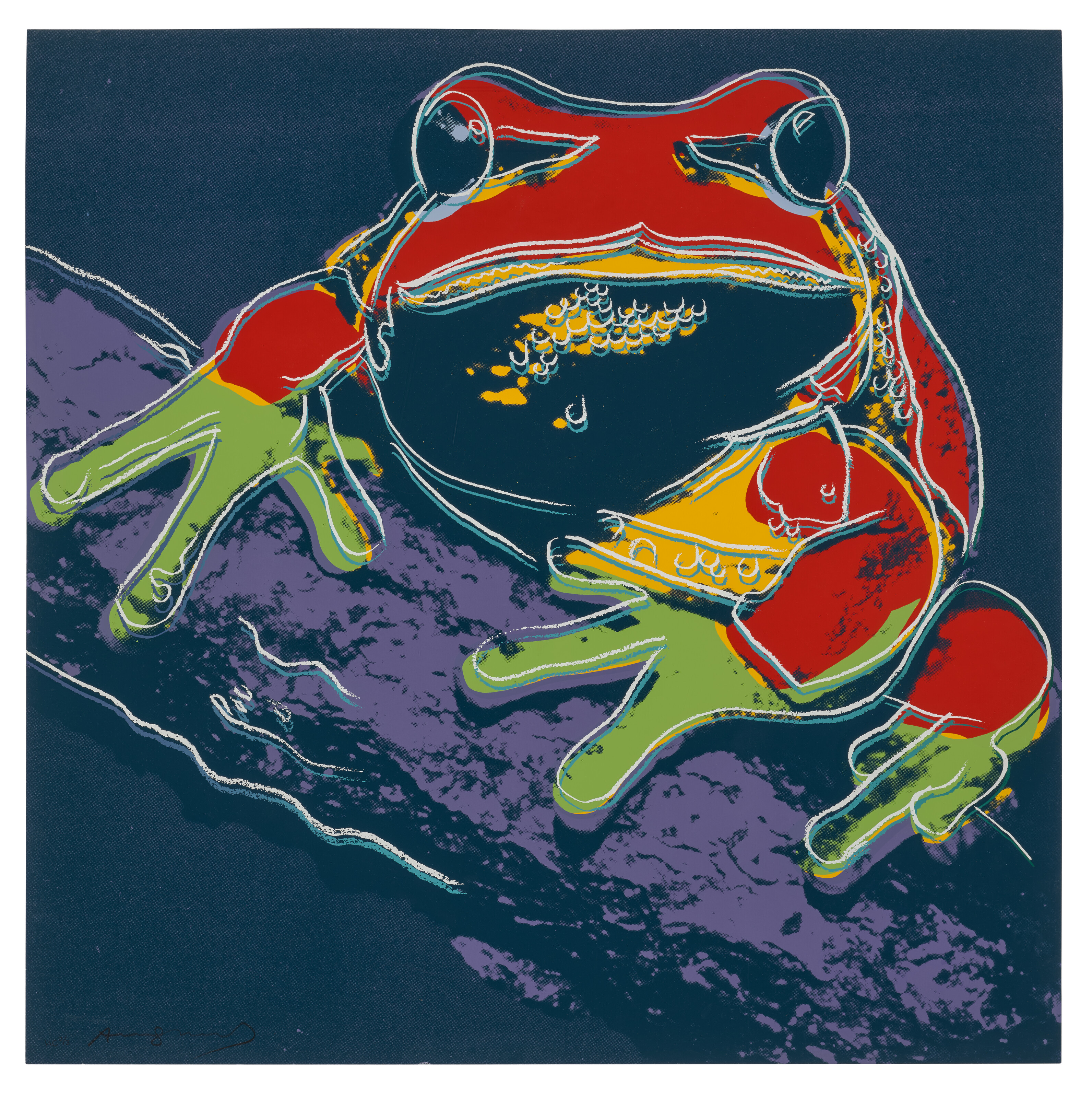 Andy Warhol — Древесная лягушка из сосновых пустошей, относящаяся к исчезающему виду, изображение 1