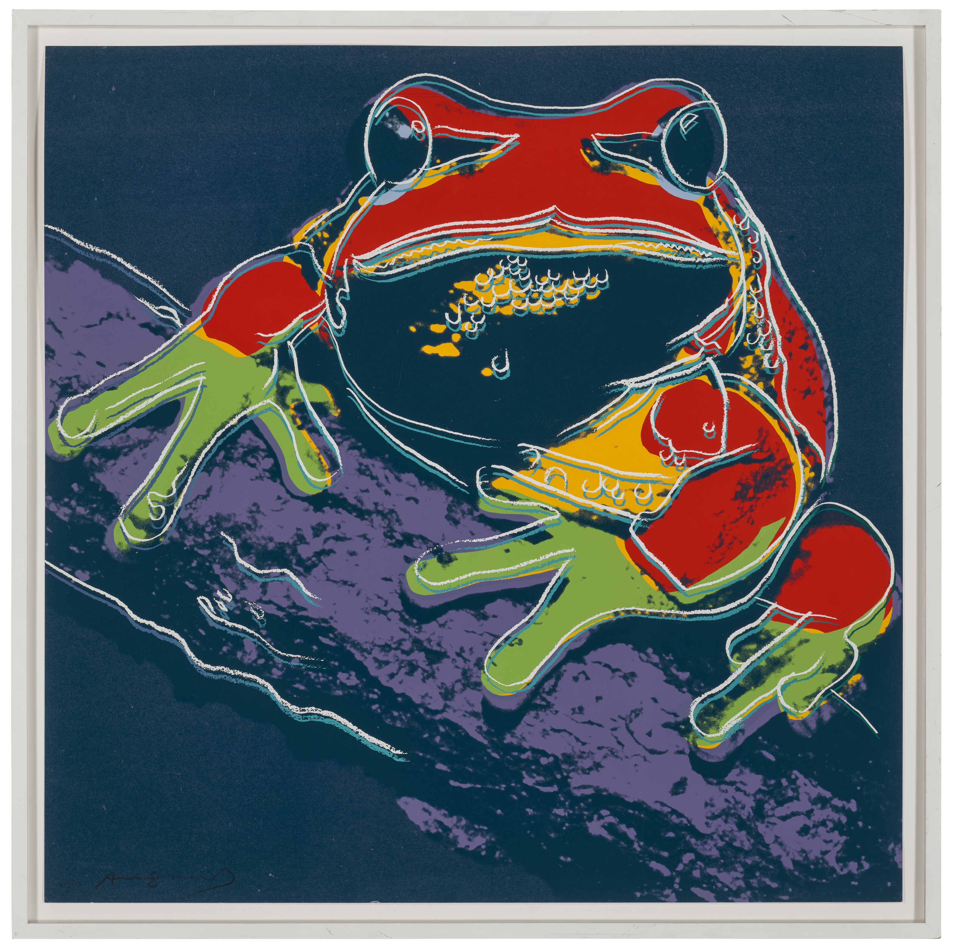Andy Warhol — Древесная лягушка из сосновых пустошей, относящаяся к исчезающему виду, изображение 2