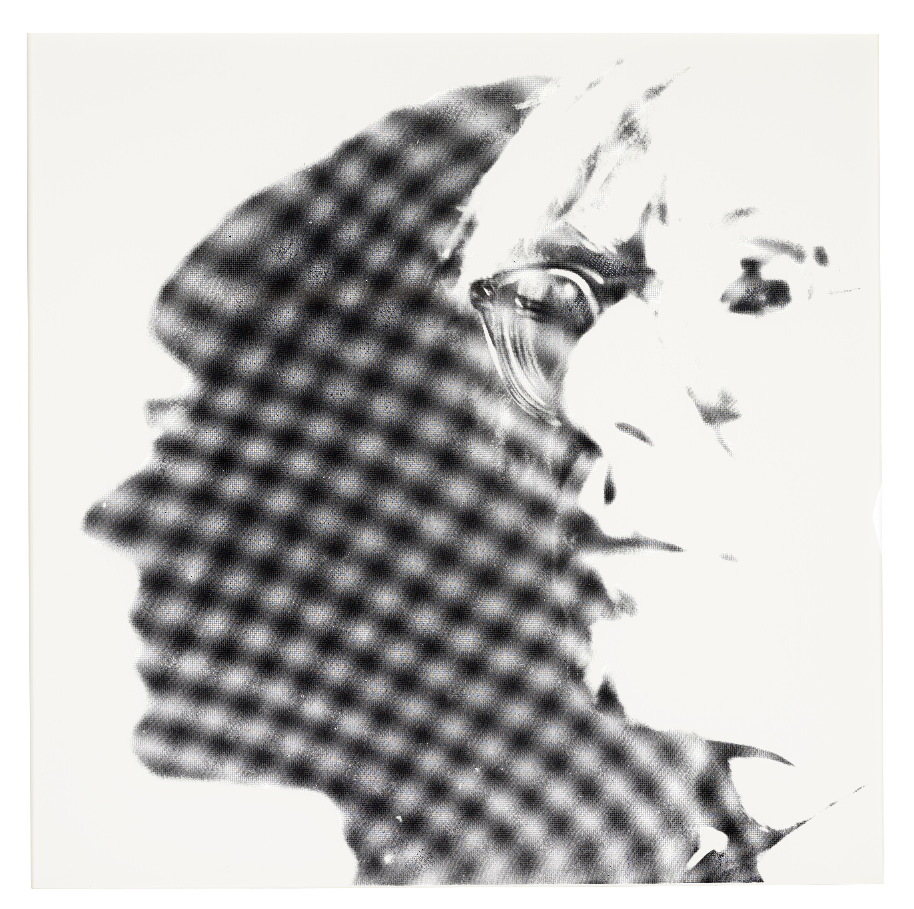 Andy Warhol — Тень, изображение 1