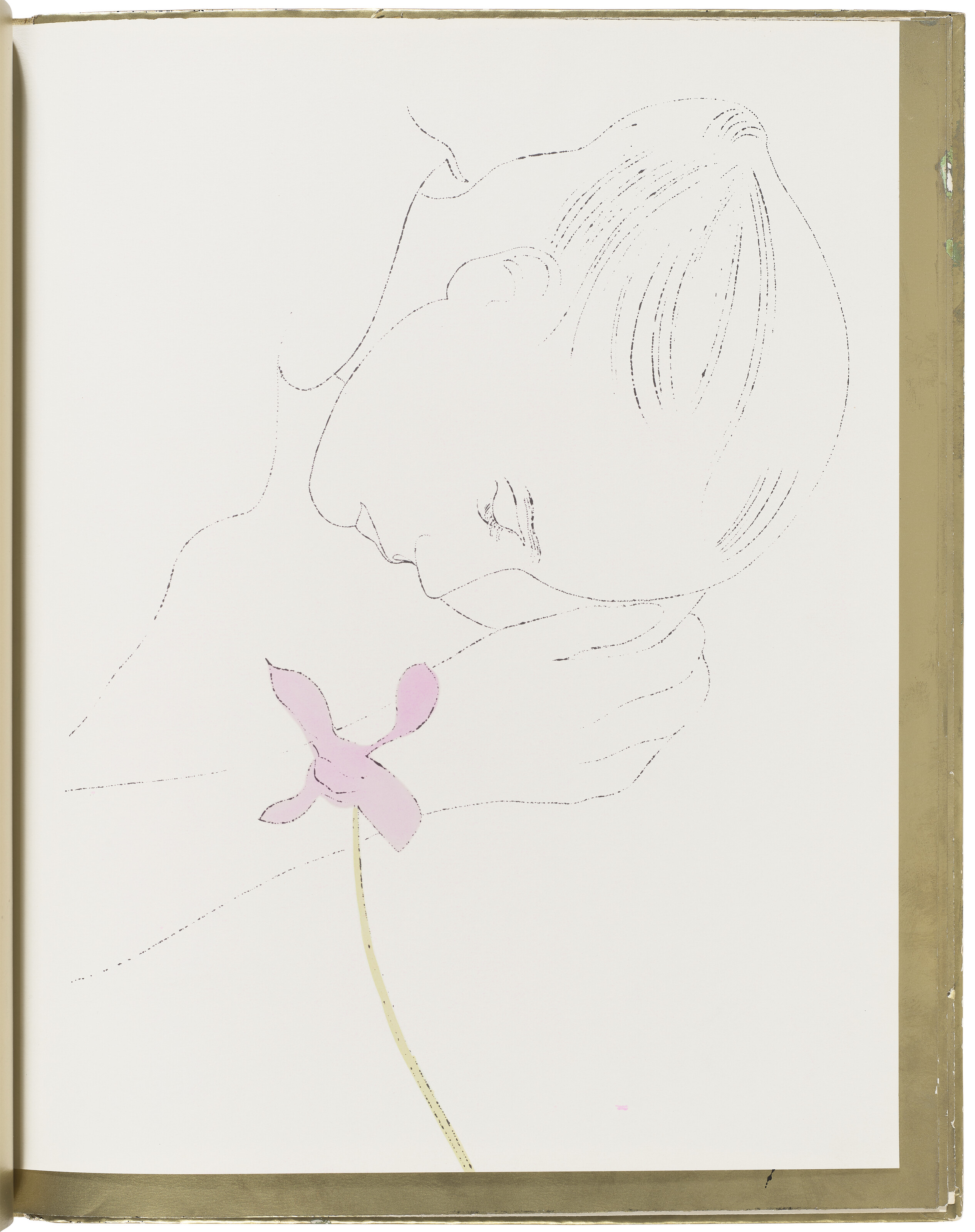 Andy Warhol — Золотая книга, изображение 4