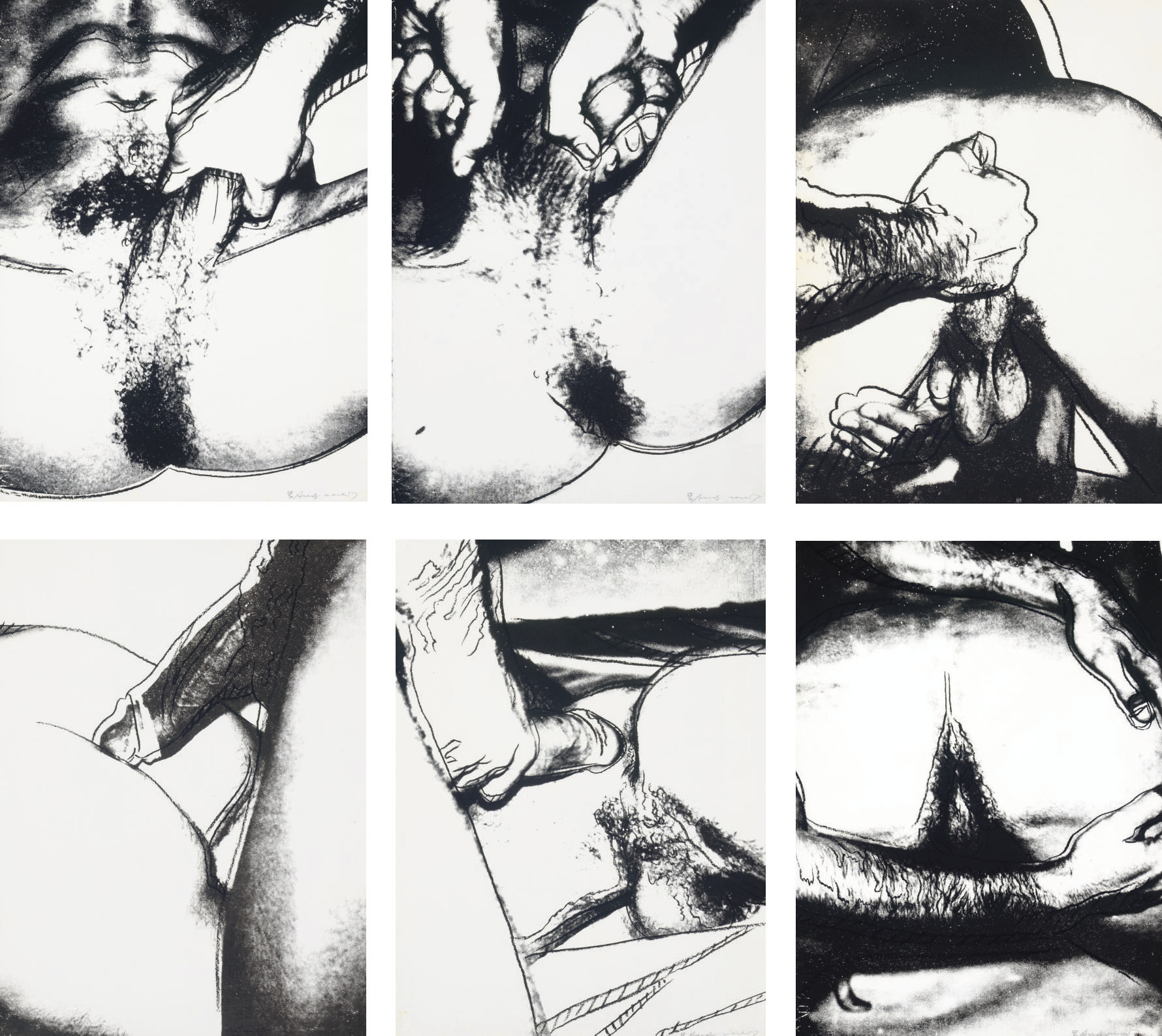 Andy Warhol — Половые органы (F. & S. 172-77)