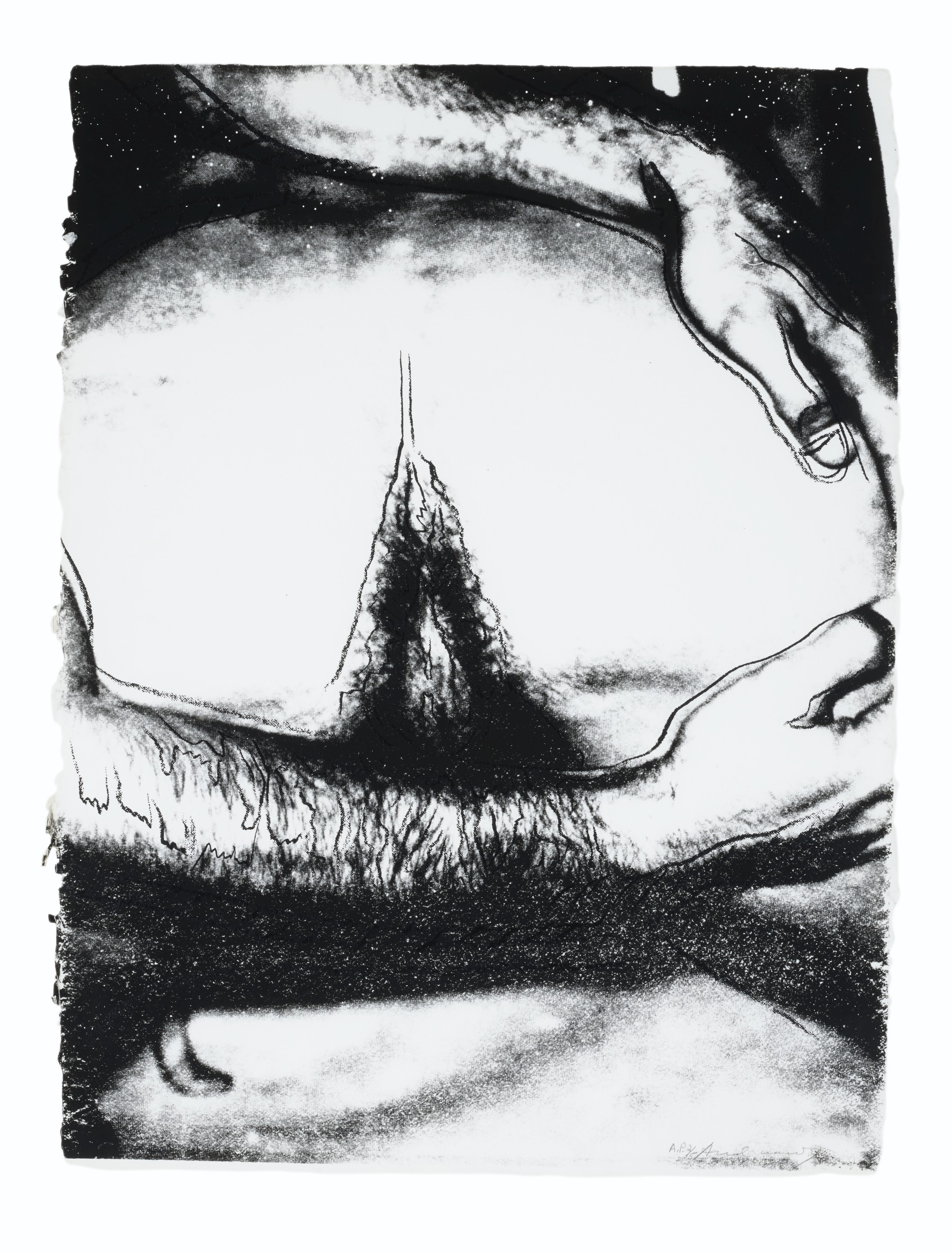 Andy Warhol — Половые органы : три отпечатка, изображение 2