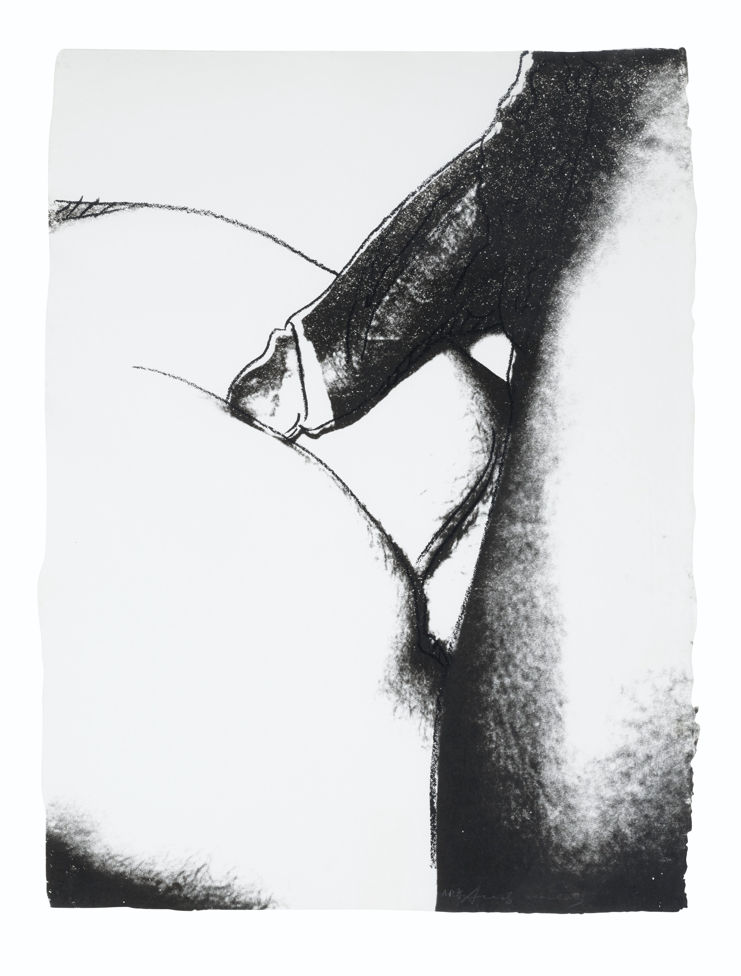 Andy Warhol — Половые органы : три отпечатка, изображение 4