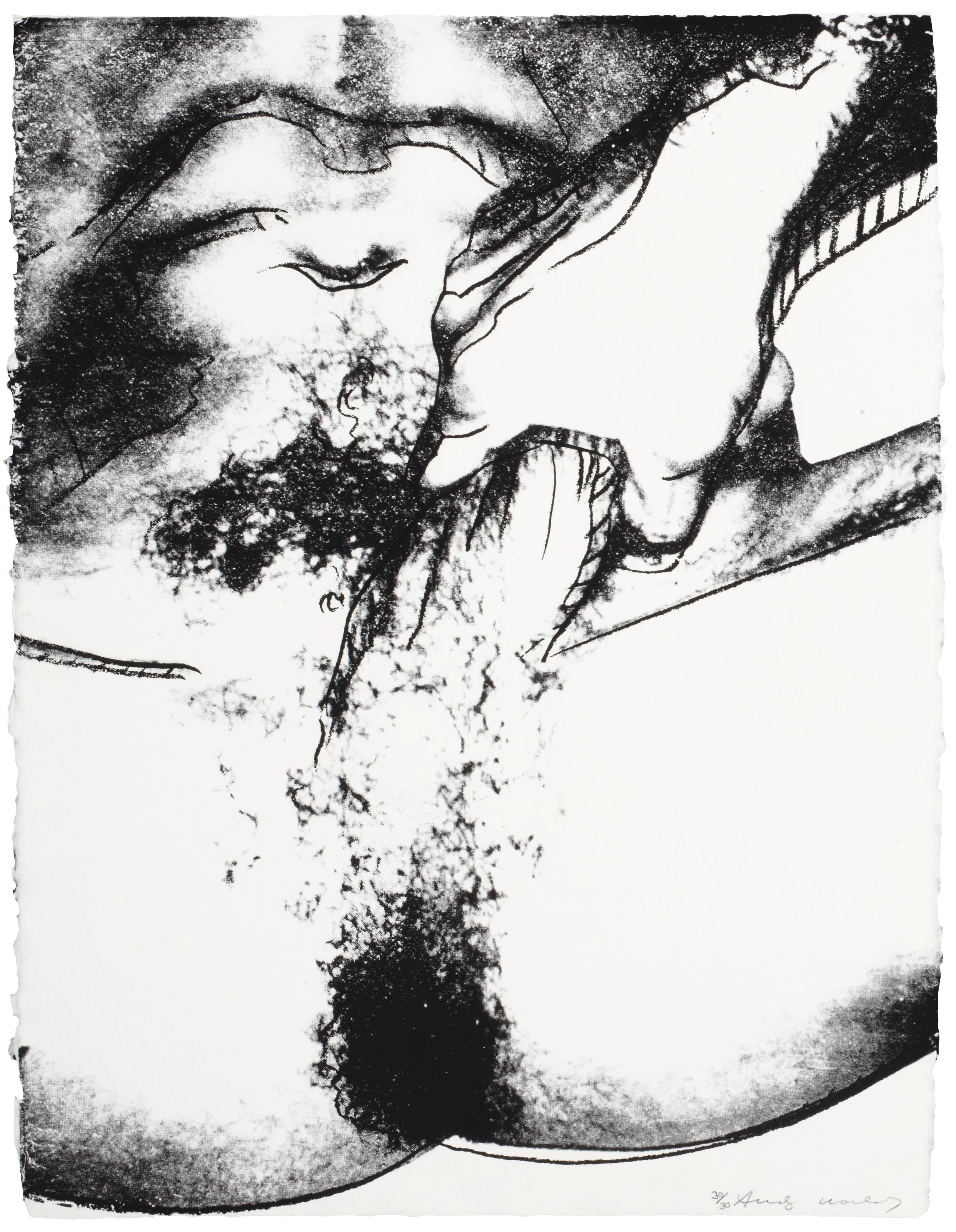 Andy Warhol — Половые органы (F. & S. II.172-177), изображение 2