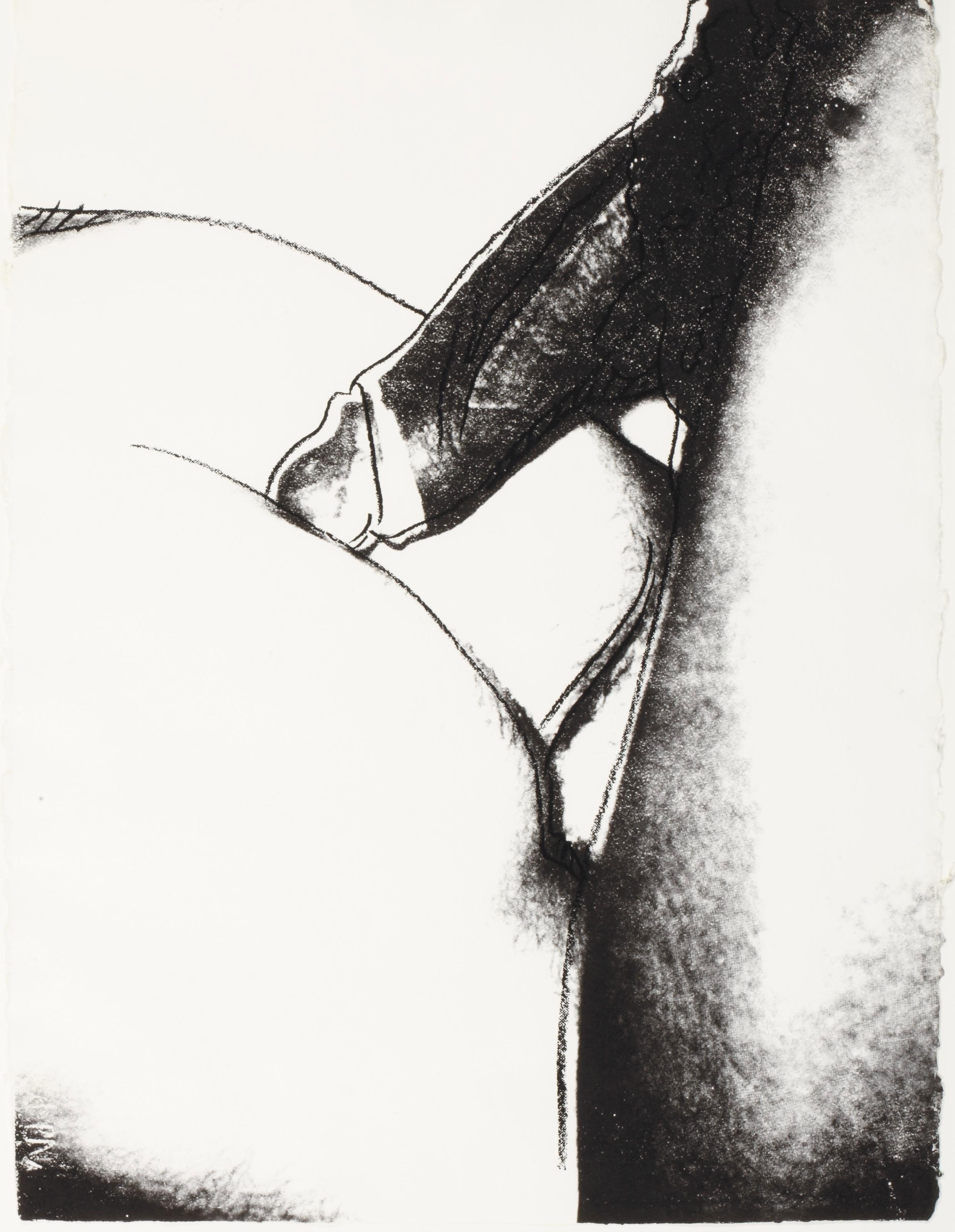 Andy Warhol — Половые органы (F. & S. II.172-177), изображение 3