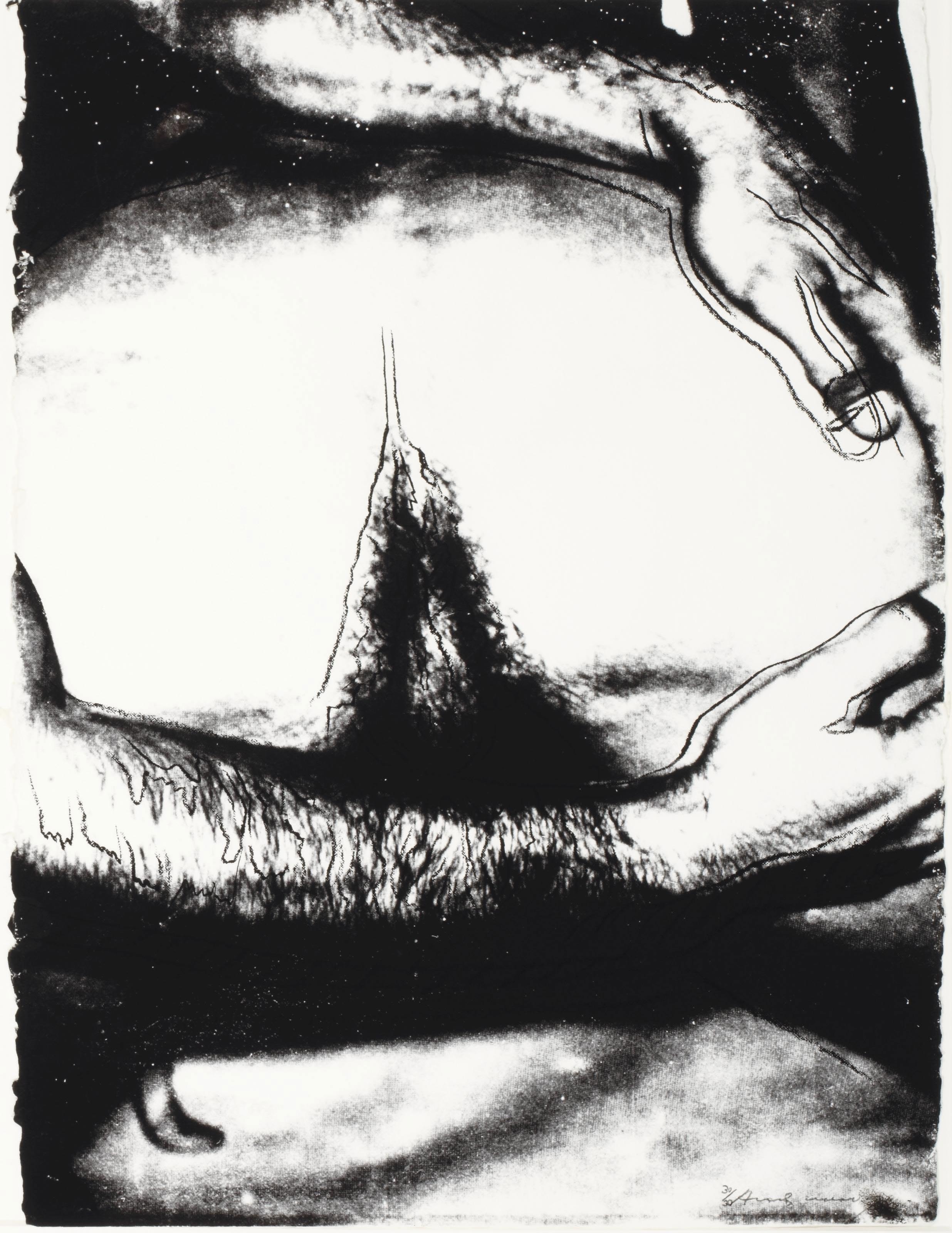 Andy Warhol — Половые органы (F. & S. II.172-177), изображение 4