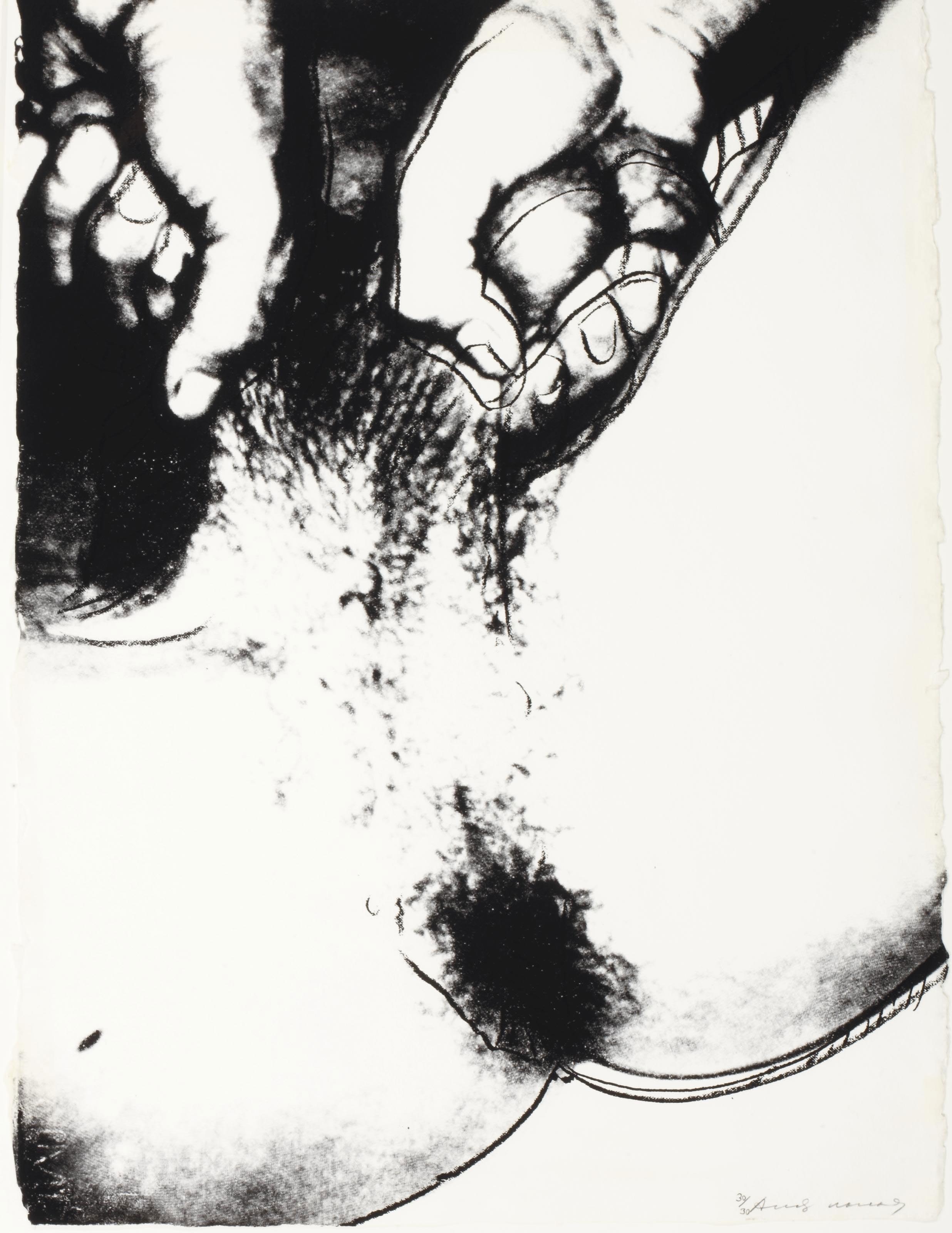 Andy Warhol — Половые органы (F. & S. II.172-177), изображение 5