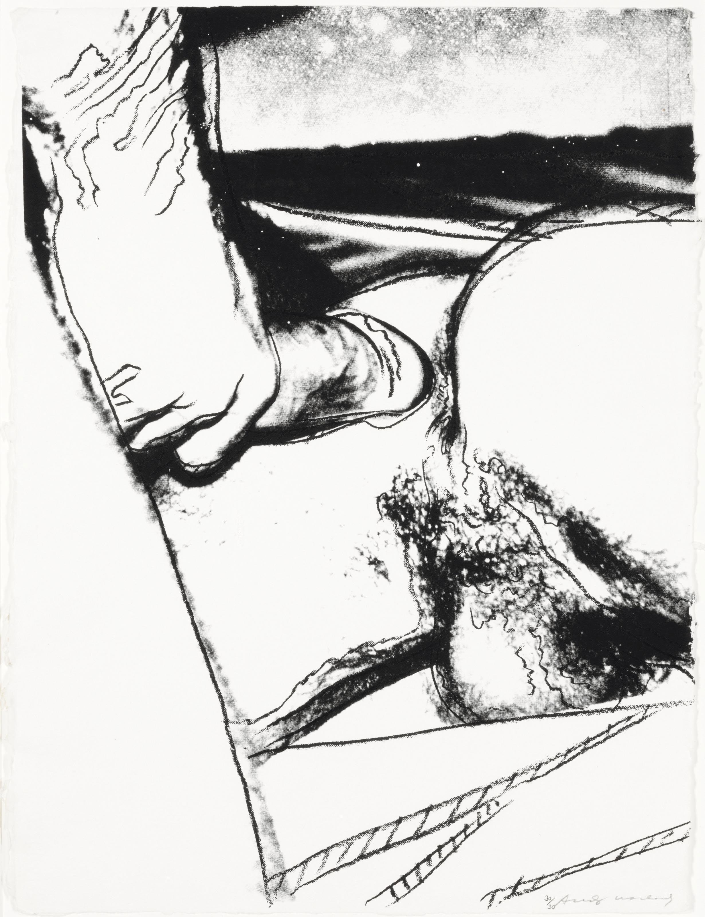 Andy Warhol — Половые органы (F. & S. II.172-177), изображение 6