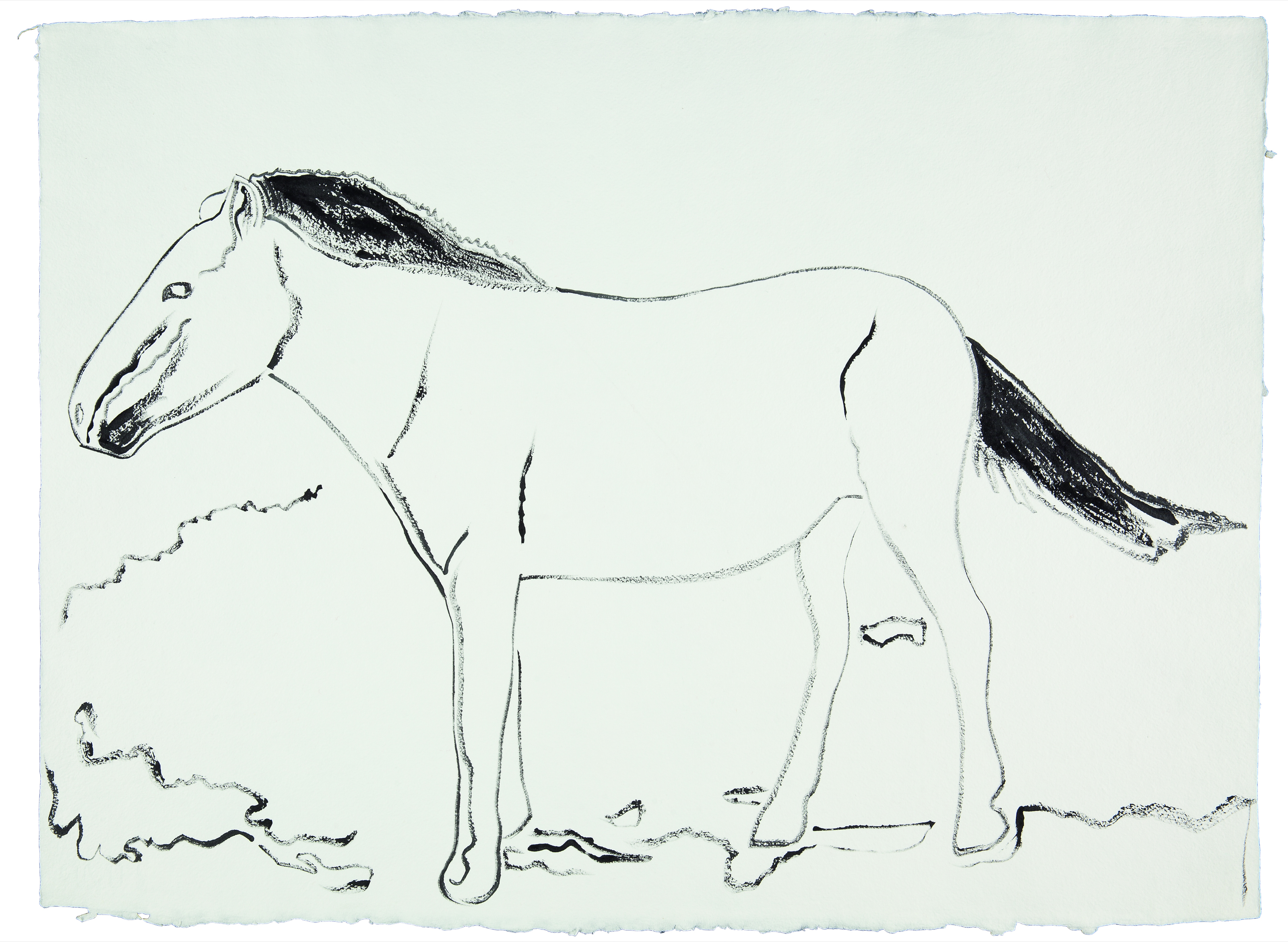 Andy Warhol — Монгольская дикая лошадь, исследование исчезающих животных