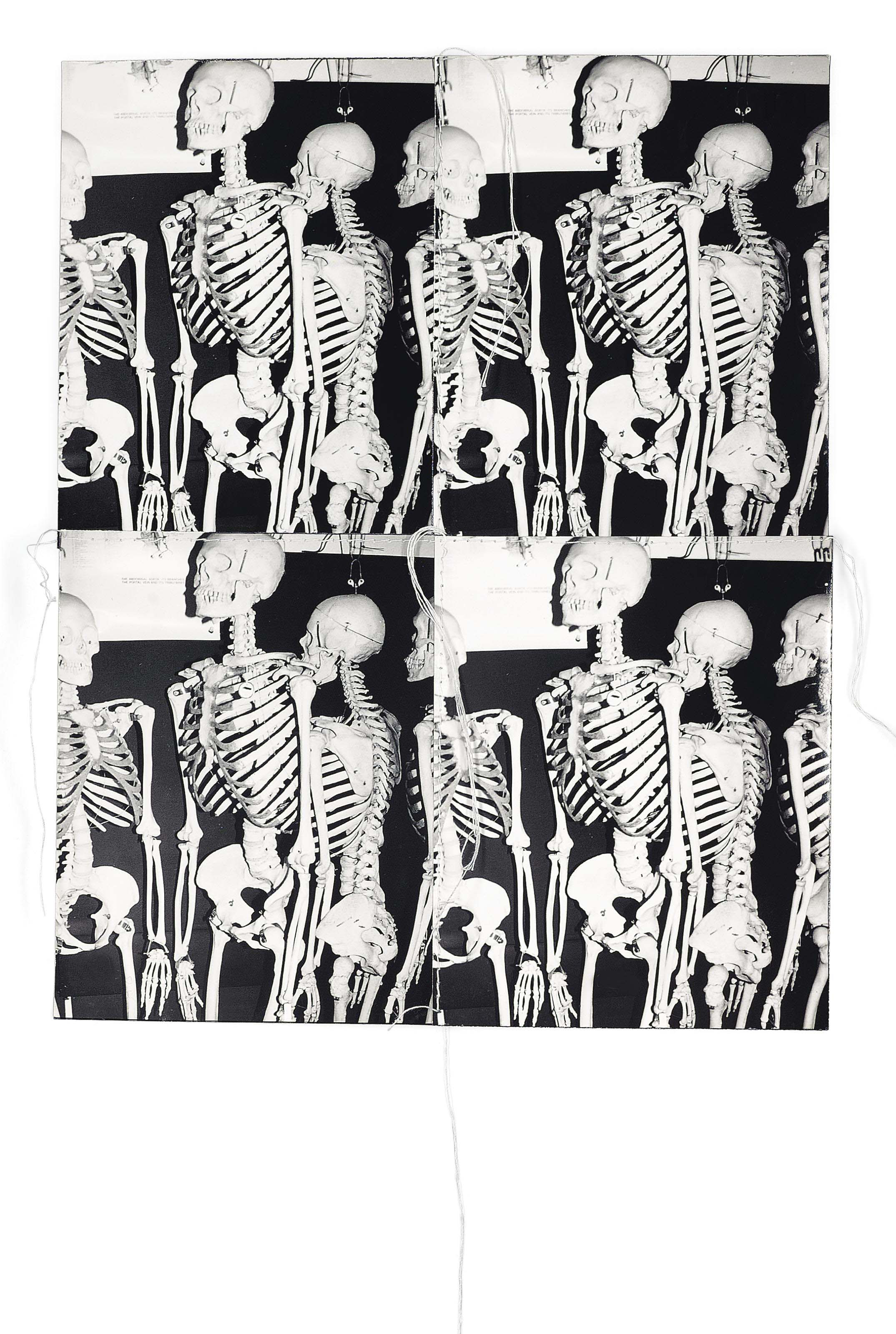 Andy Warhol — Выпуск фотографий для Parkett (Parkett 12)