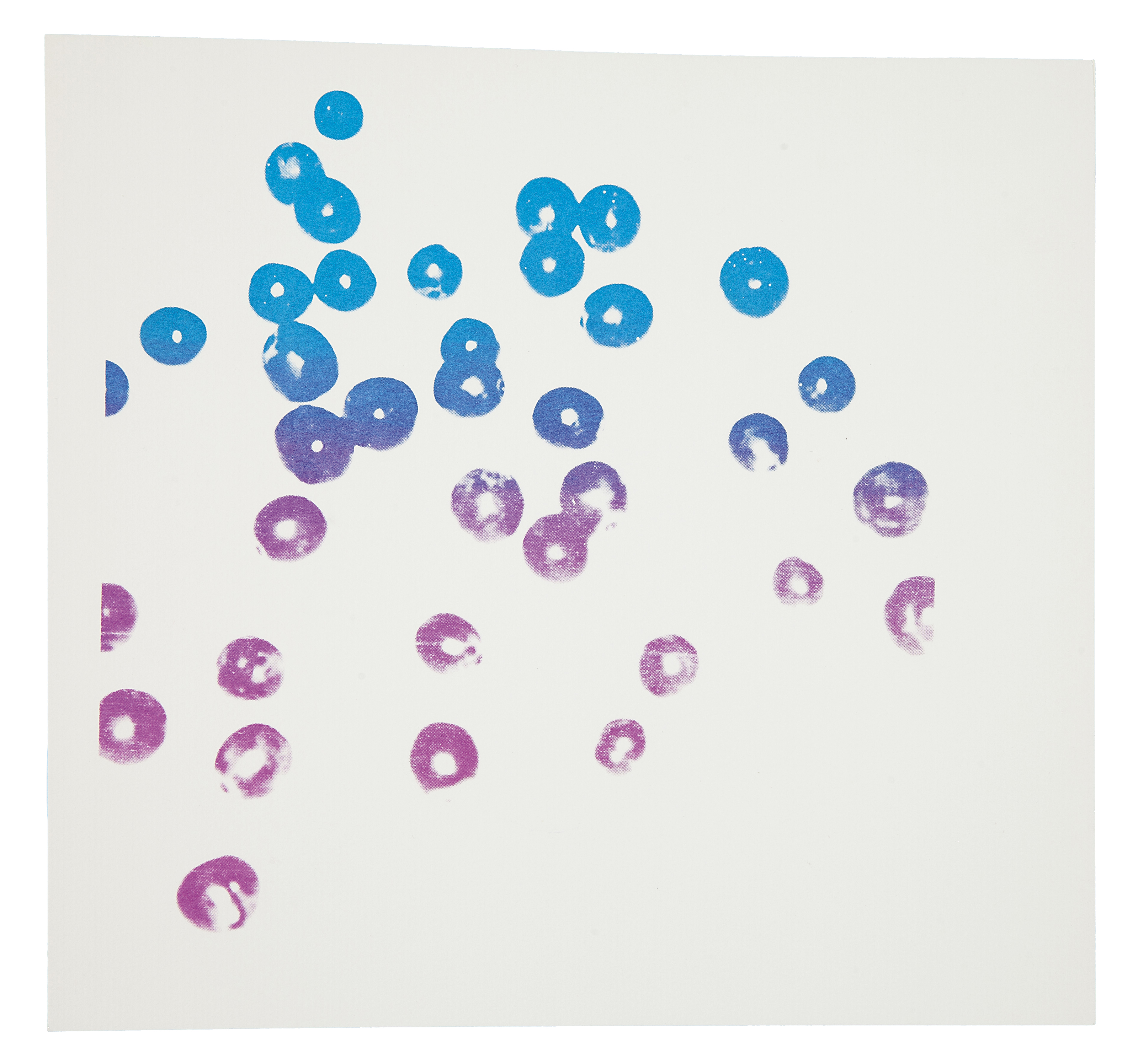 Andy Warhol — Кювезон Шардоне (см. раздел F. & S. III.6), изображение 3