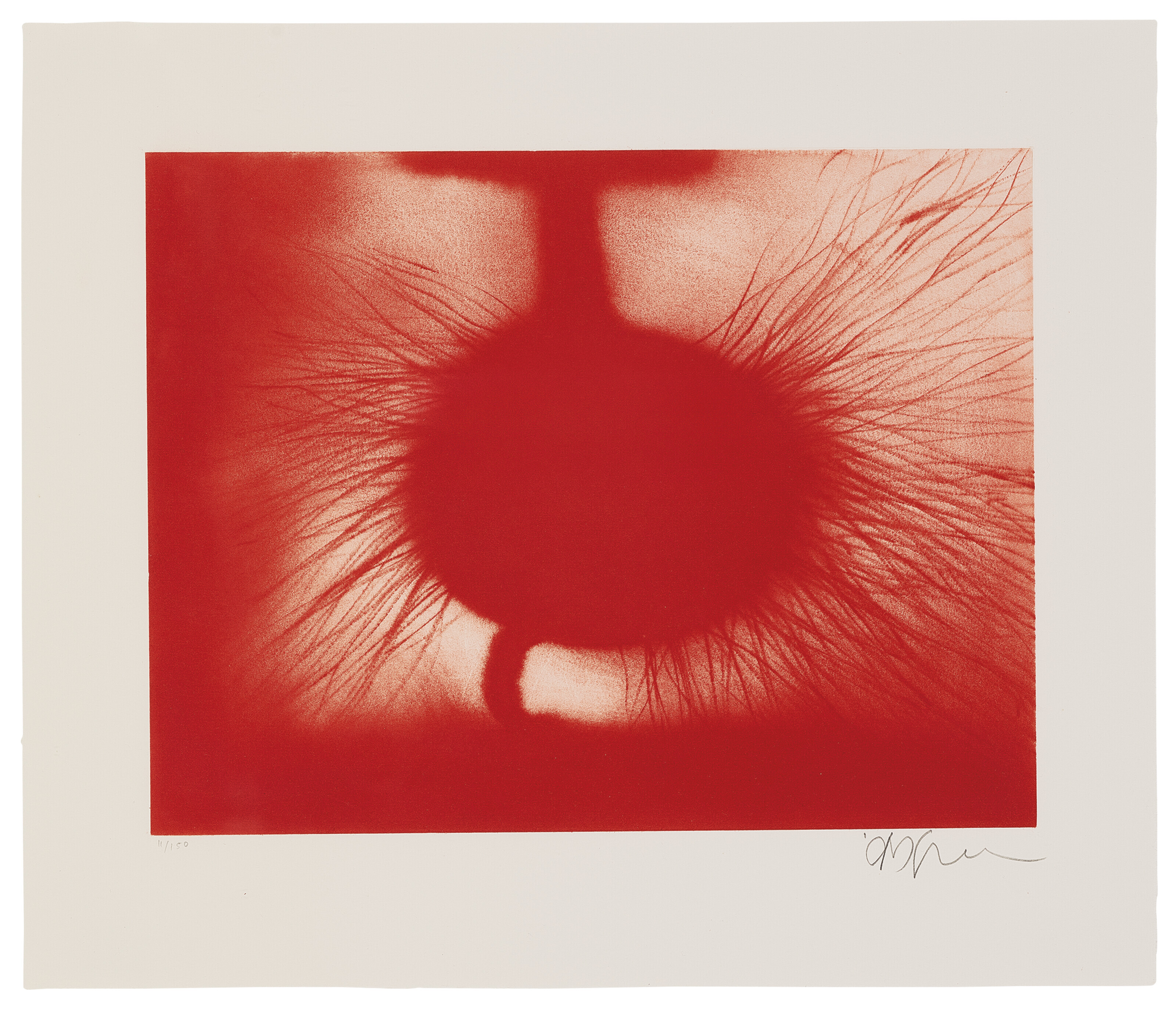 Anish Kapoor — Без названия