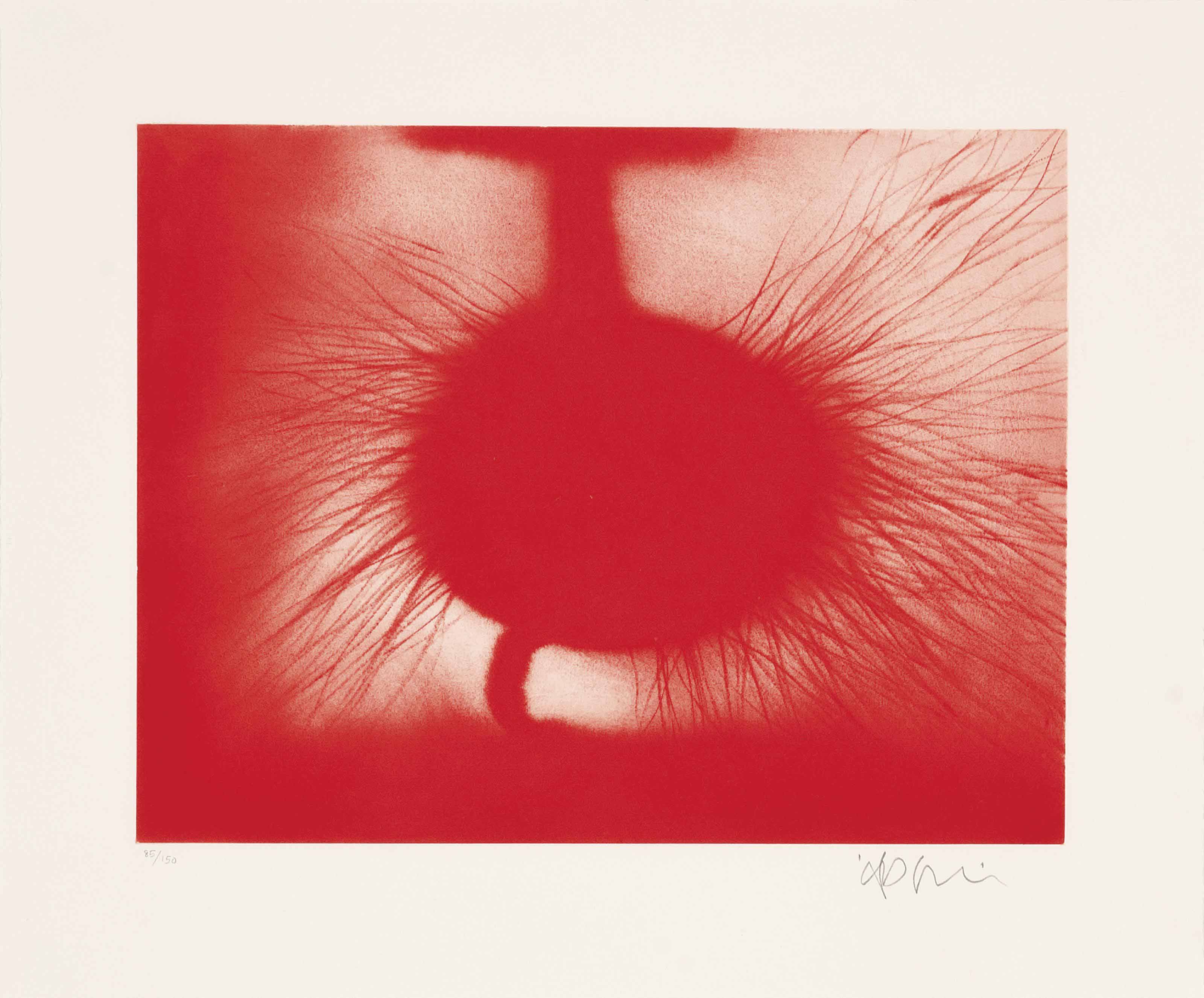 Anish Kapoor — Без названия