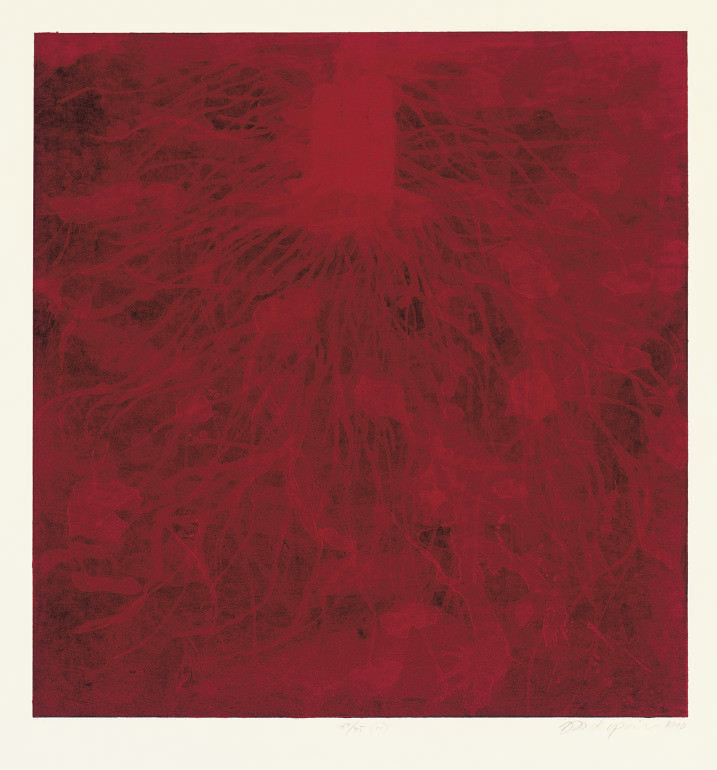 Anish Kapoor — Без названия 11