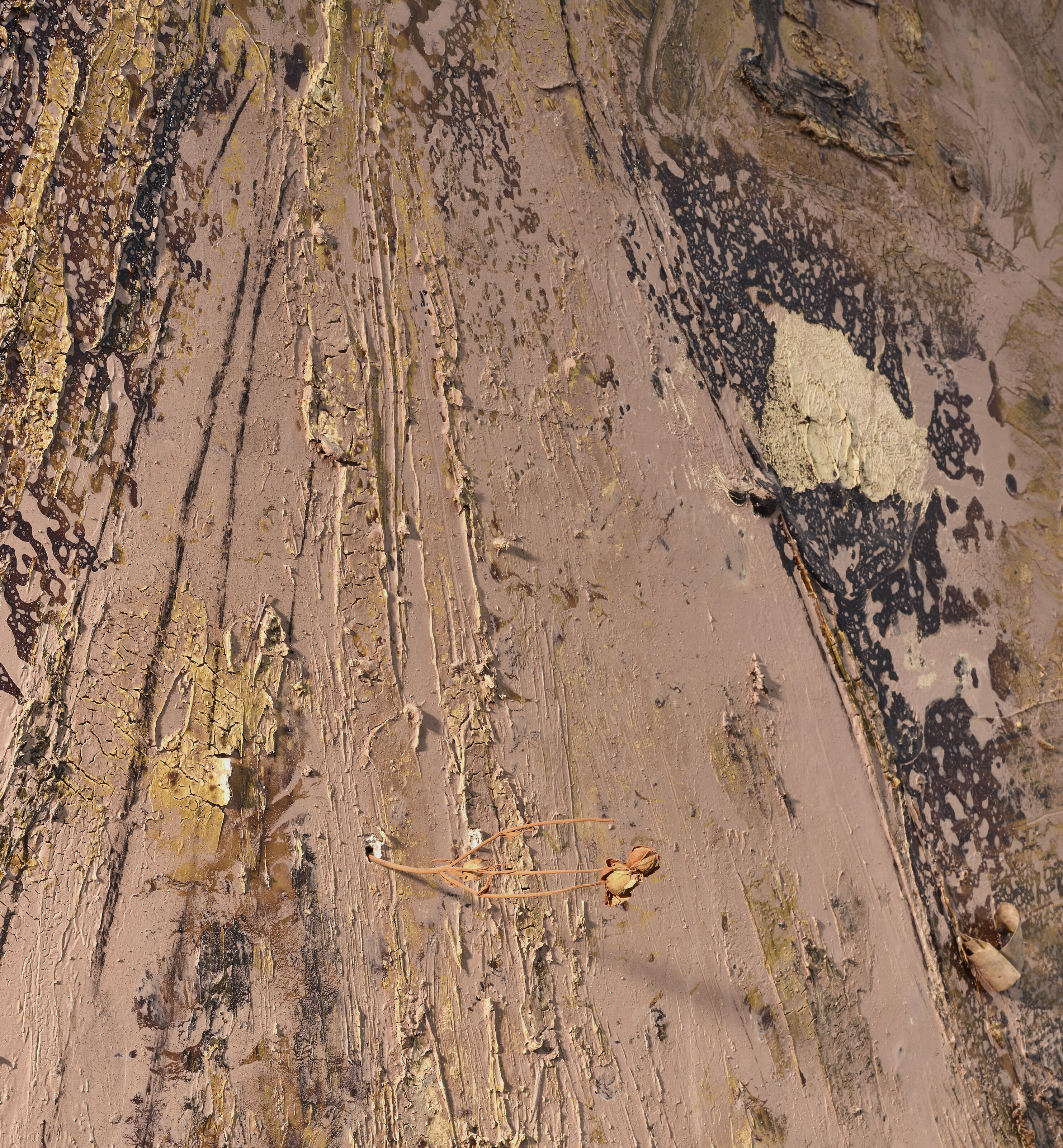 Anselm Kiefer — Die Brücken (Мосты), изображение 7