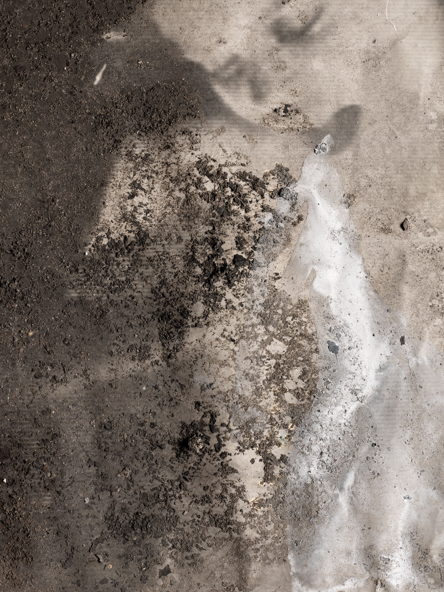 Anselm Kiefer — Олимпия, изображение 3