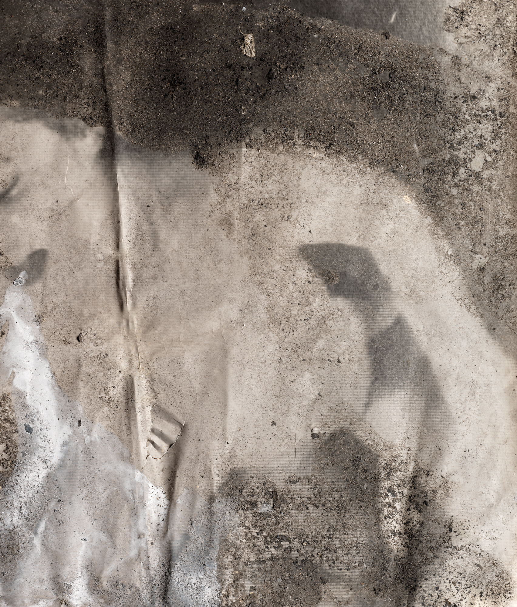 Anselm Kiefer — Олимпия, изображение 4