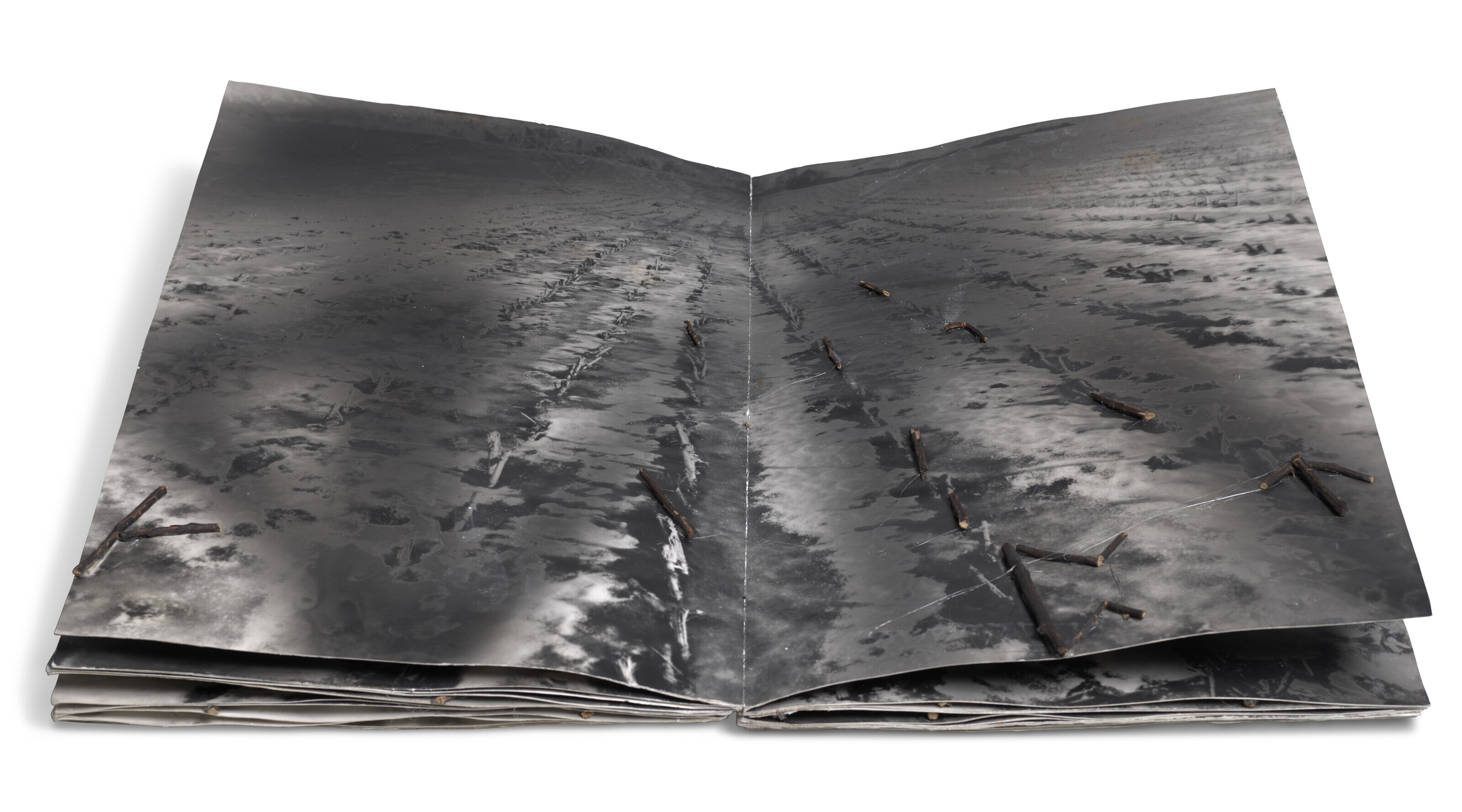 Anselm Kiefer — Был ли сагте Один таким же, как Тотен Бальдер, изображение 3