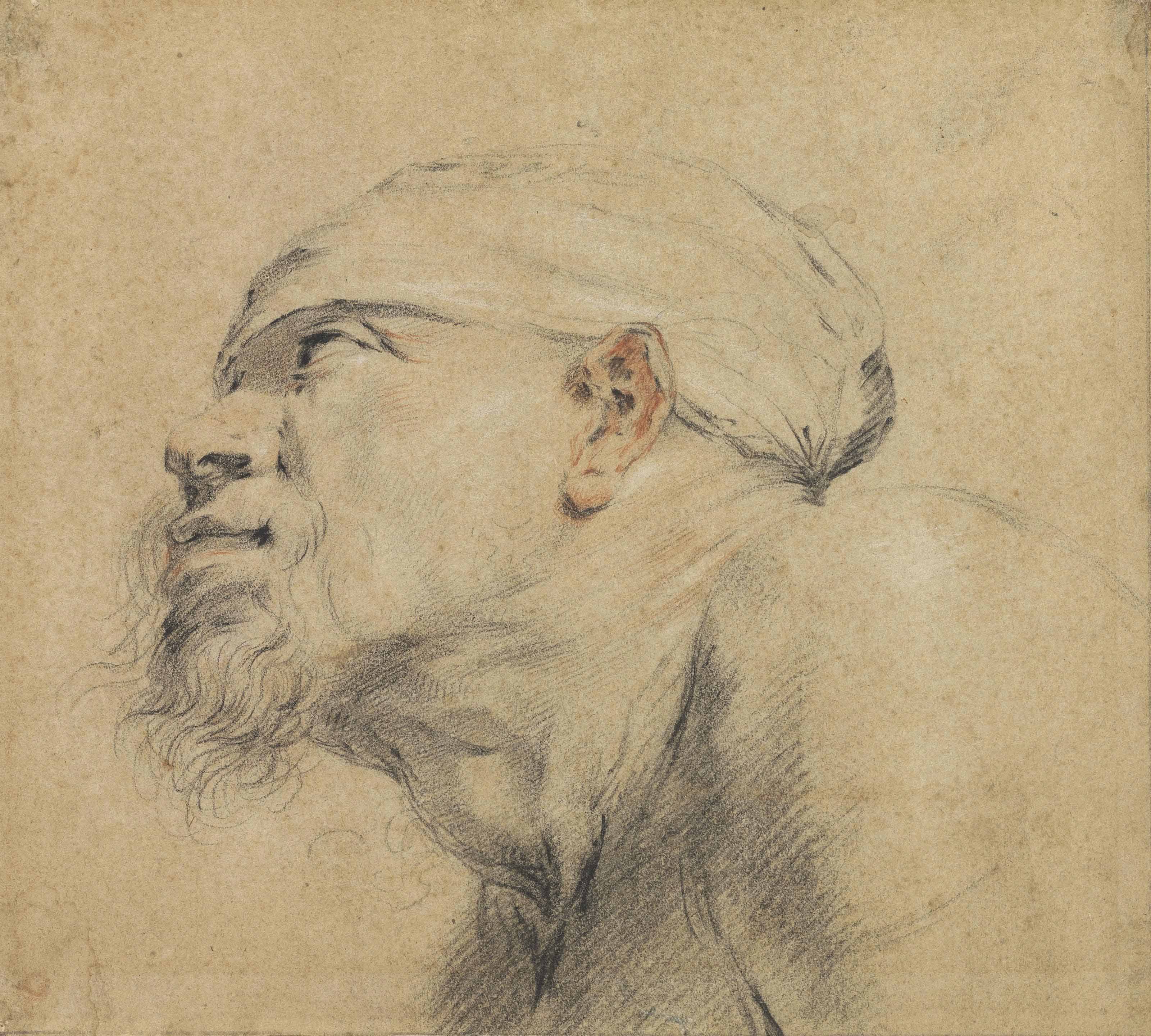 Anthony van Dyck — Голова бородатого мужчины, повернутая в профиль влево
