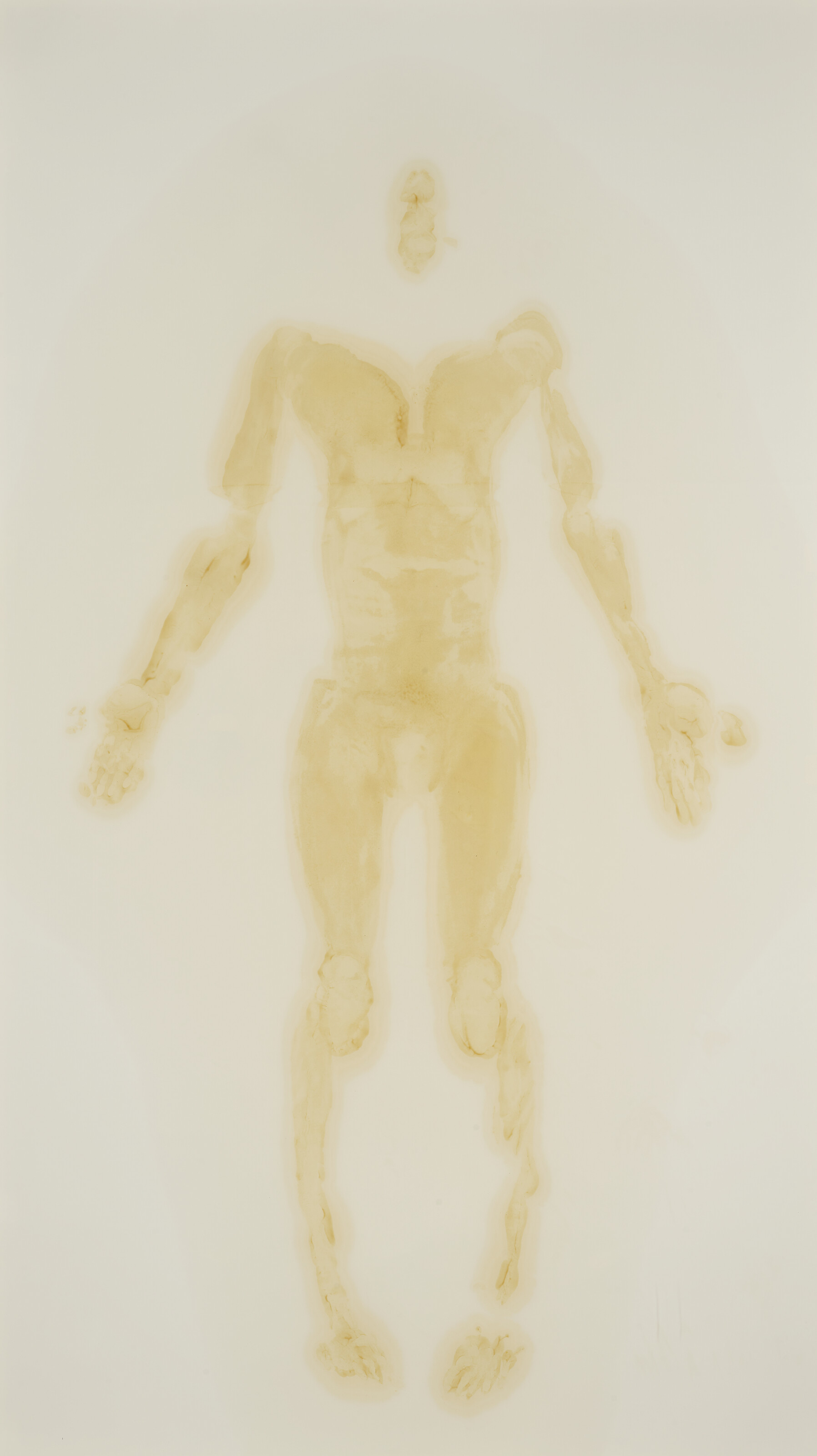 Antony Gormley — Покажите