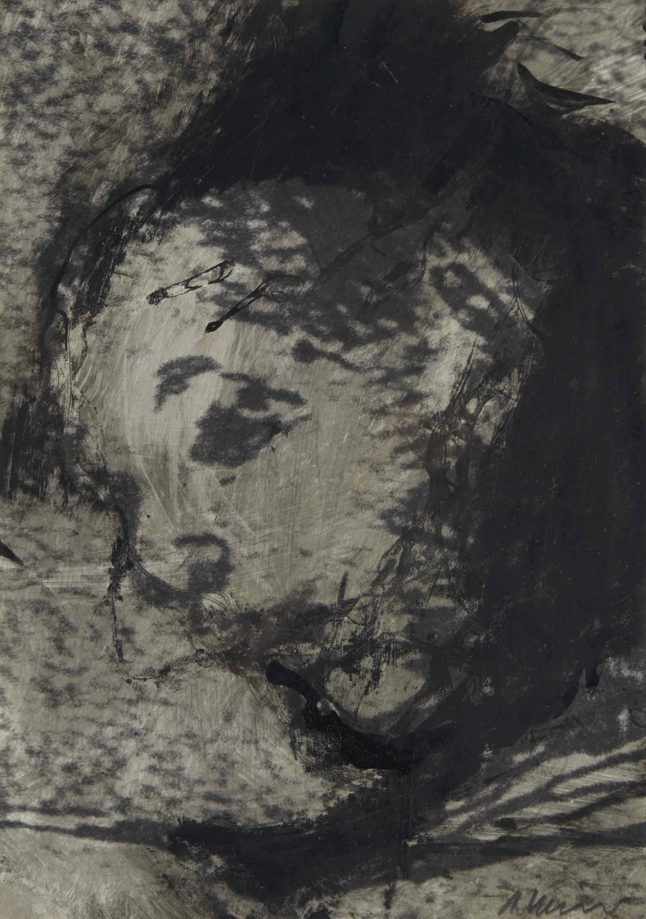 Arnulf Rainer — Музей Гойи № 63