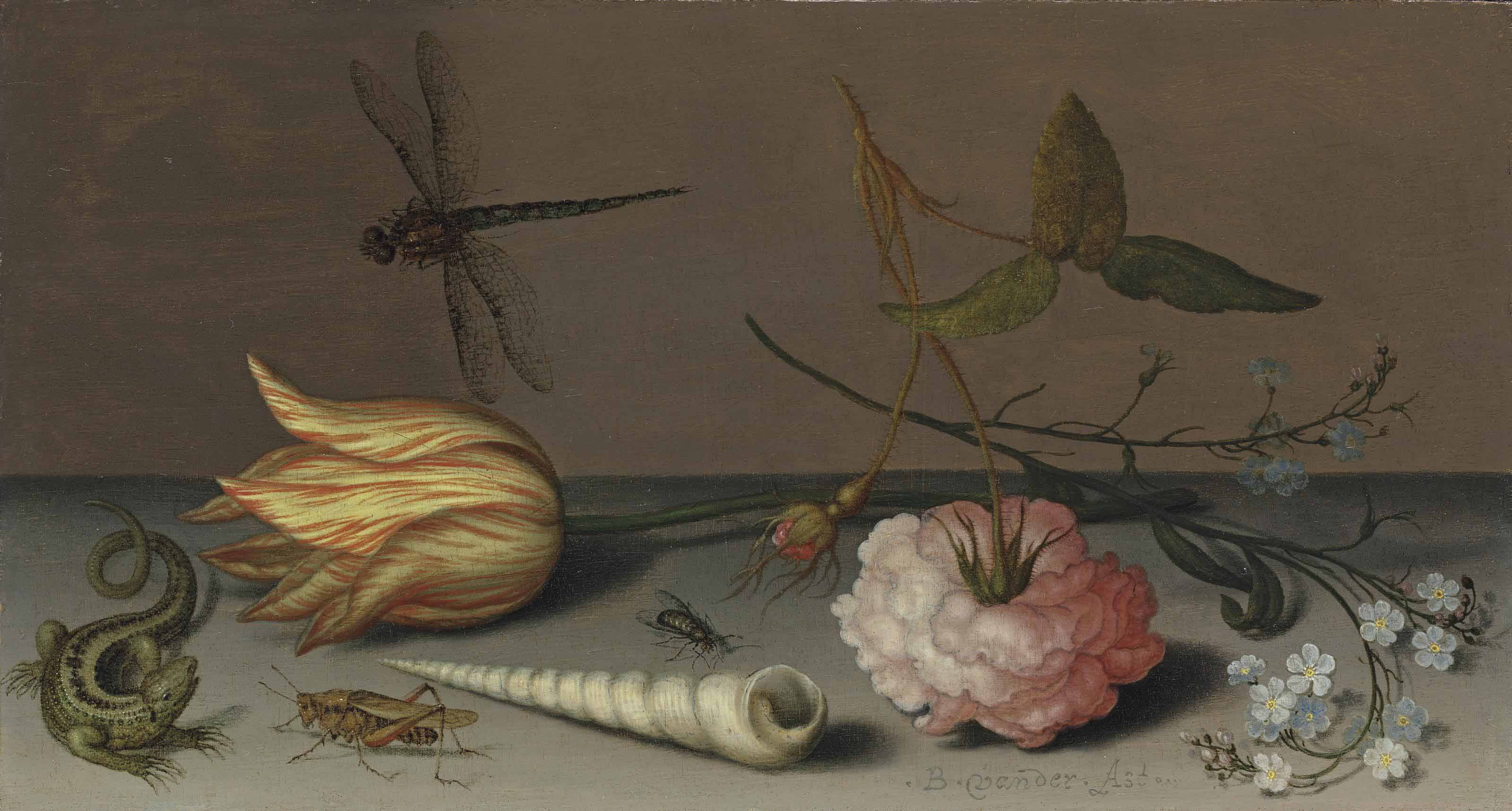 Balthasar Van Der Ast — Тюльпан, гвоздика, веточка незабудок, с ракушкой, ящерицей и кузнечиком, на карнизе, стрекоза в полете