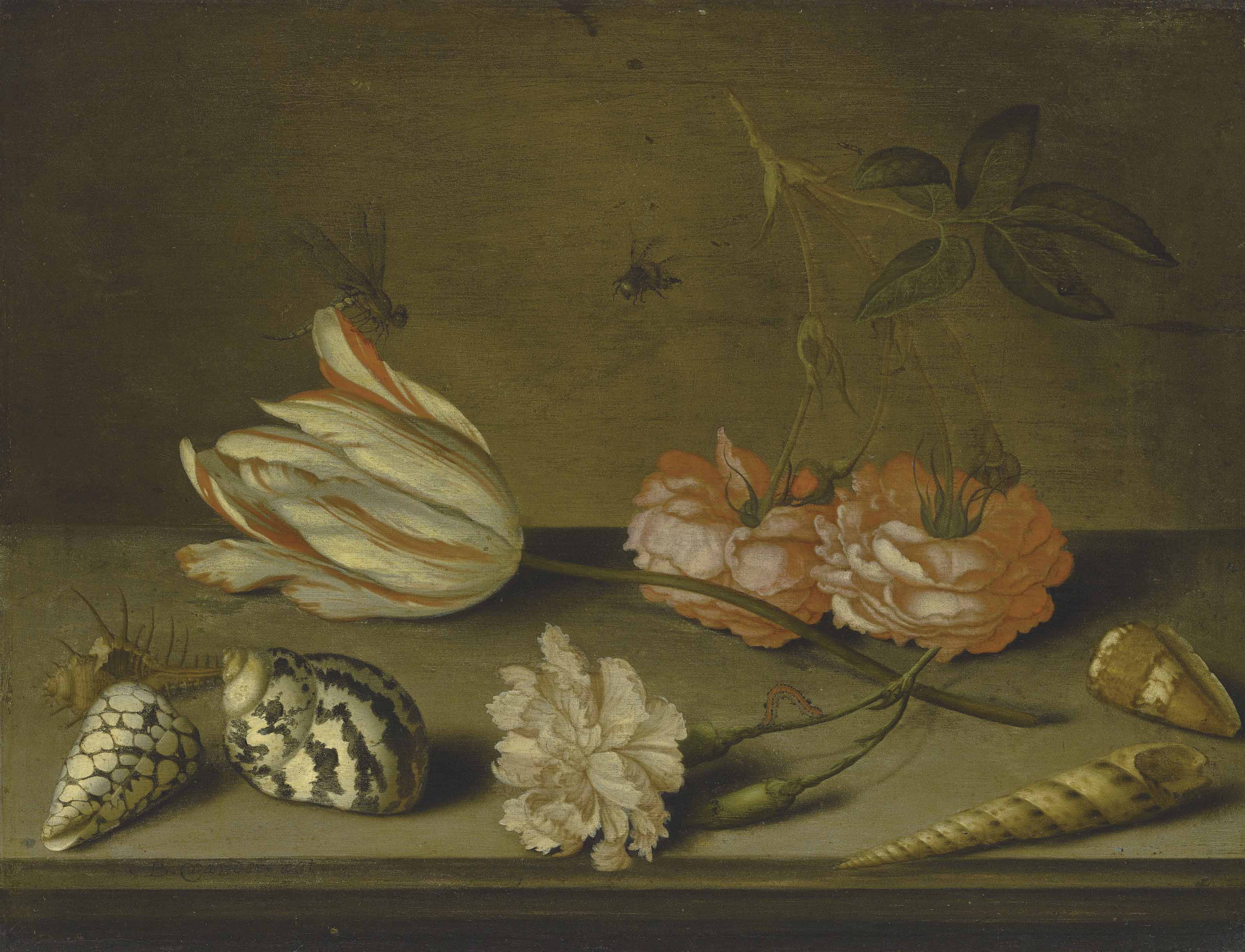 Balthasar Van Der Ast — Тюльпан Semper Augustus, гвоздика и розы, украшенные ракушками и насекомыми, на выступе