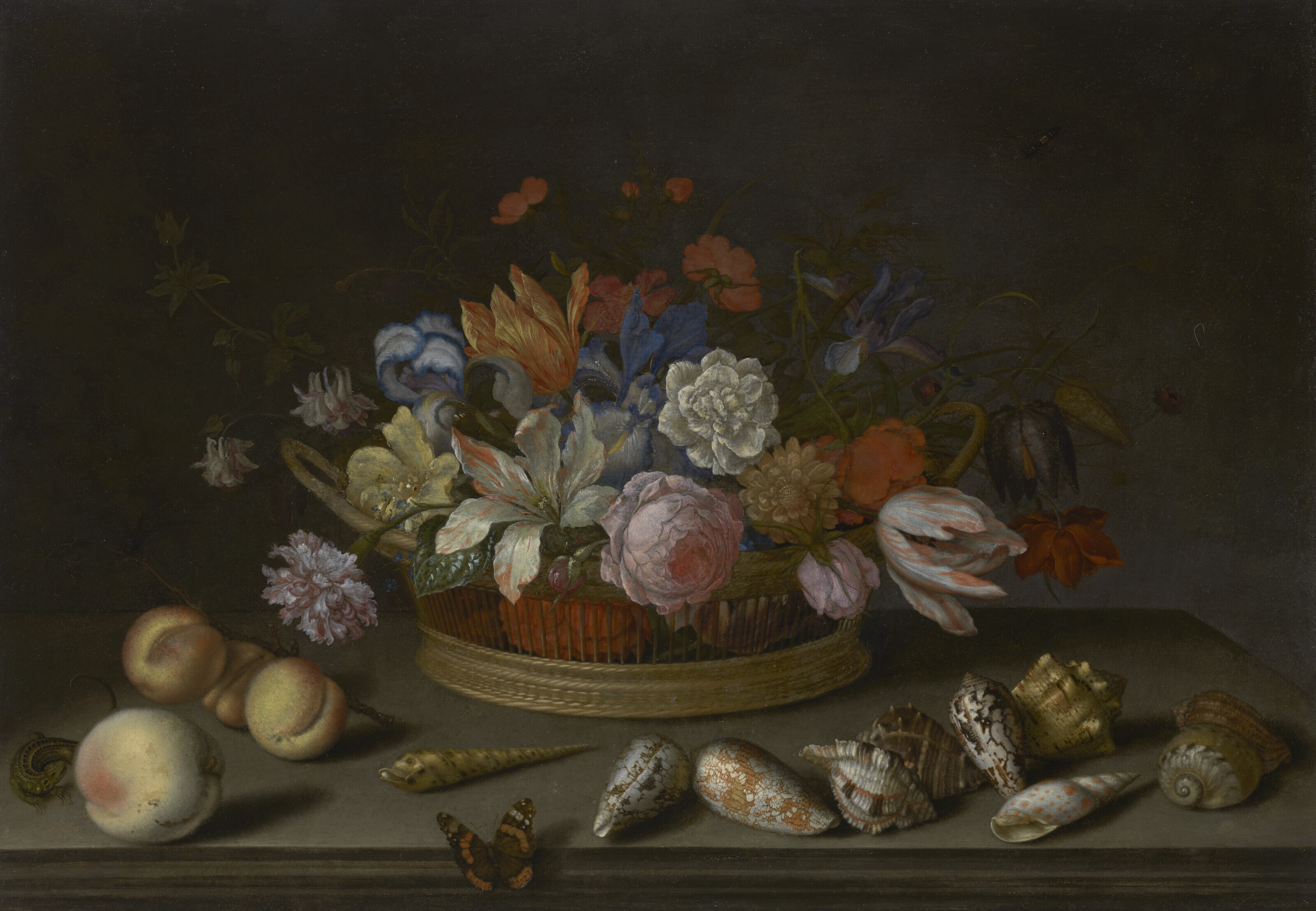 Balthasar Van Der Ast — Тюльпаны, розы и другие цветы в корзине на столе, с ракушками, фруктами, ящерицей и бабочкой