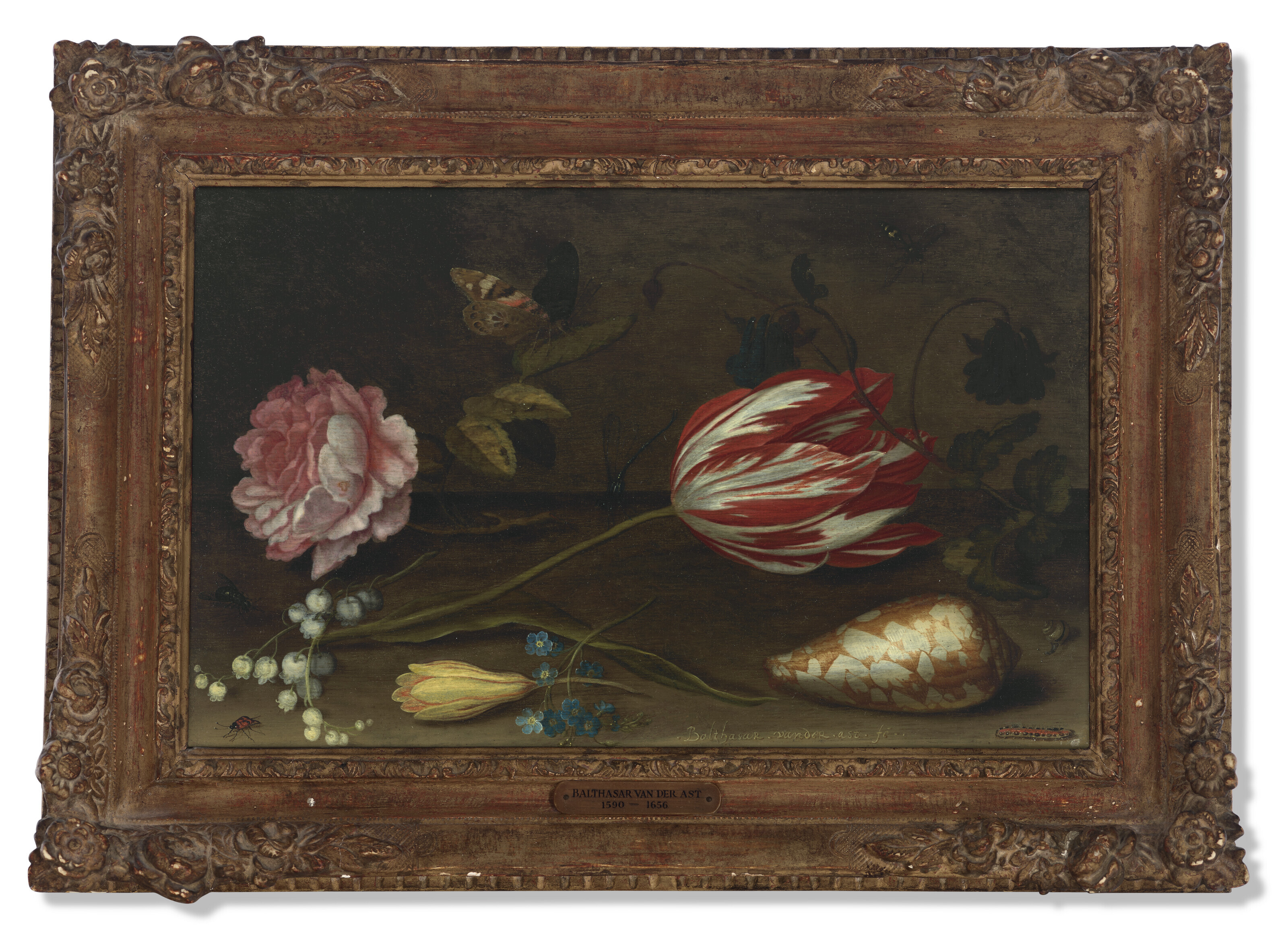 Balthasar Van Der Ast — Роза, тюльпан, насекомые и ракушка на выступе, изображение 2