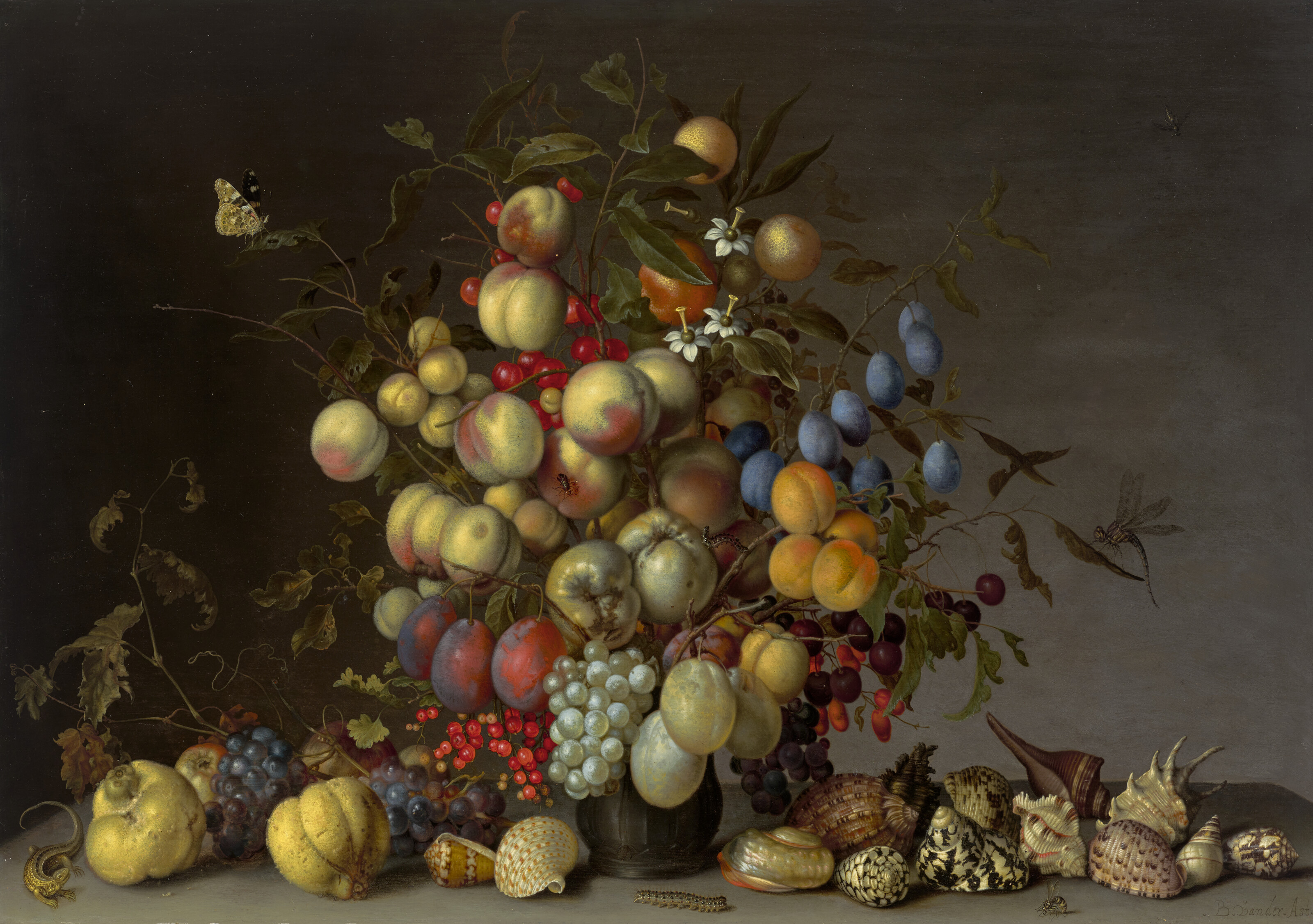 Balthasar Van Der Ast — Персики, сливы, апельсины, яблоки, вишни, виноград, красная смородина, черная смородина, яблоки-крабики и другие фрукты в оловянной вазе, с бабочкой red admiral, стрекозой и другими насекомыми, с виноградом и другими фруктами, ракушками, ящерицей, гусеницей и осой на выступе