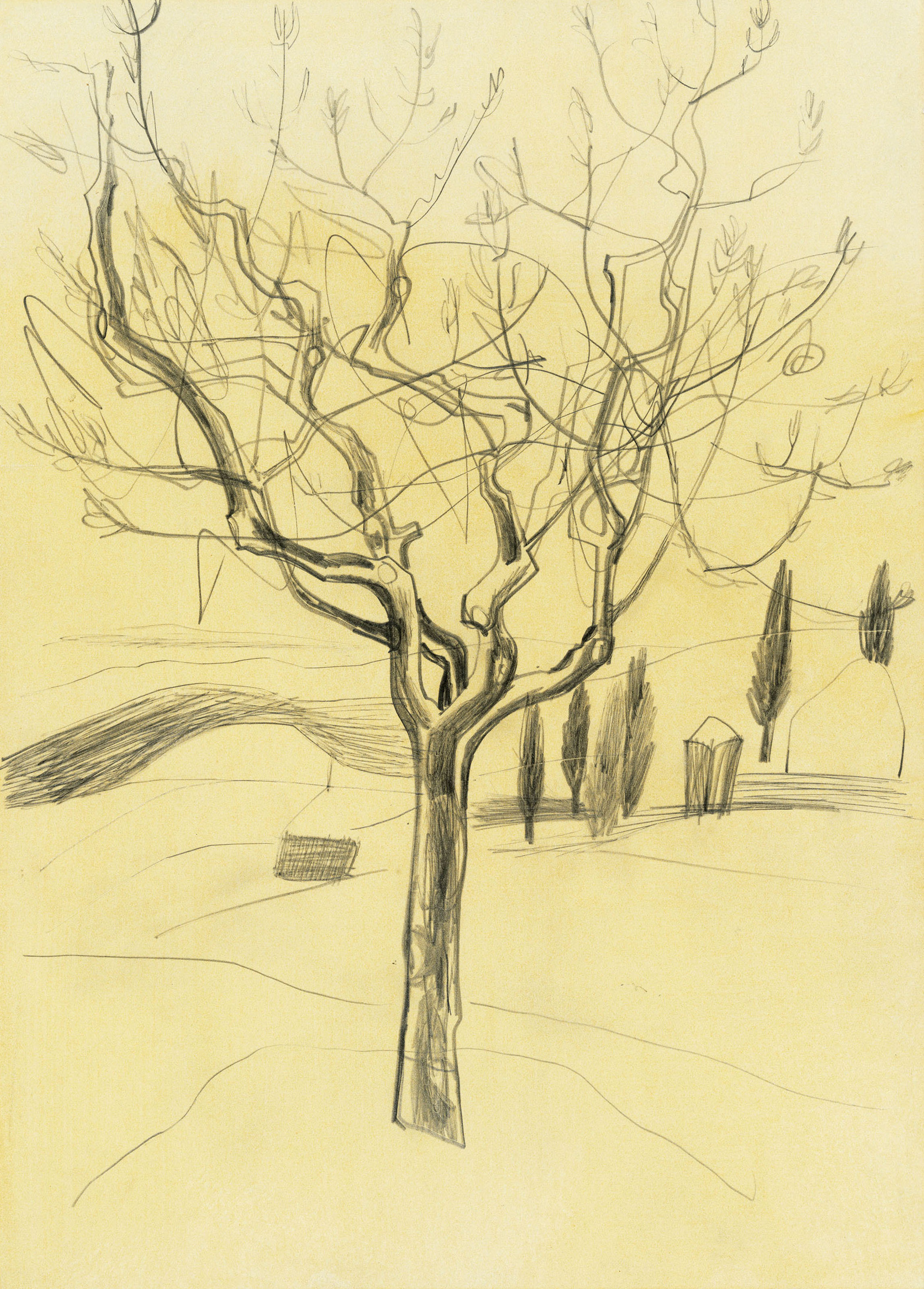 Ben Nicholson — 55 октября оливковое дерево (Монте-Оливето)