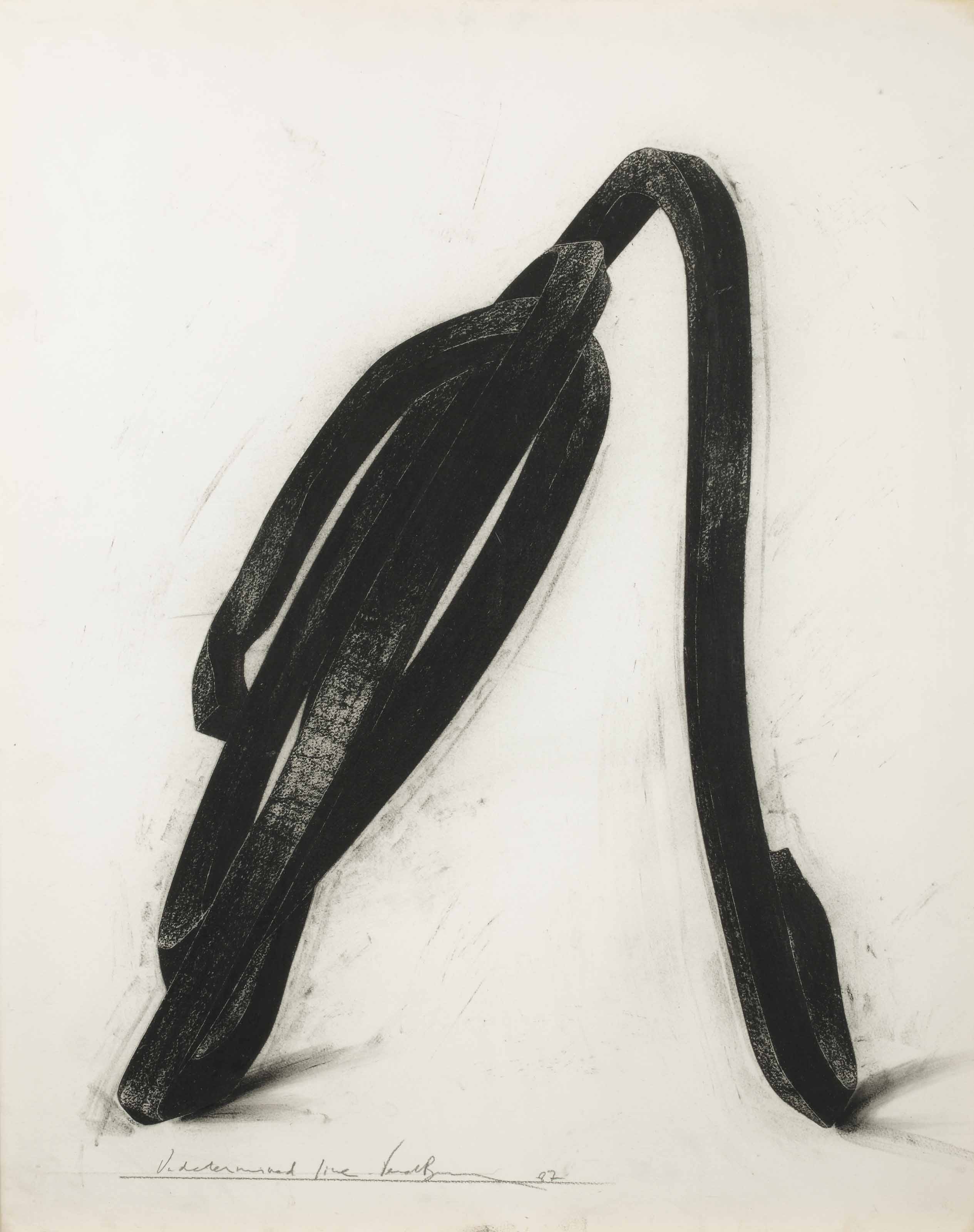 Bernar Venet — Неопределенная линия