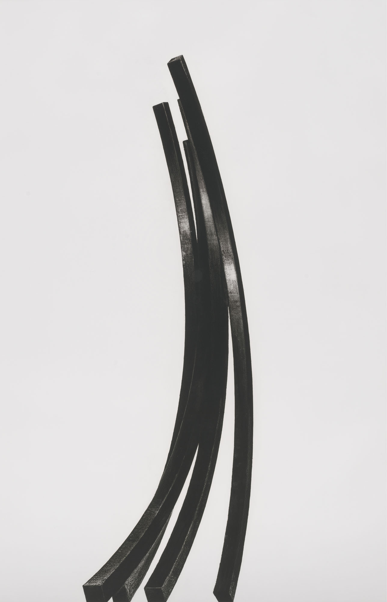Bernar Venet — Дуги