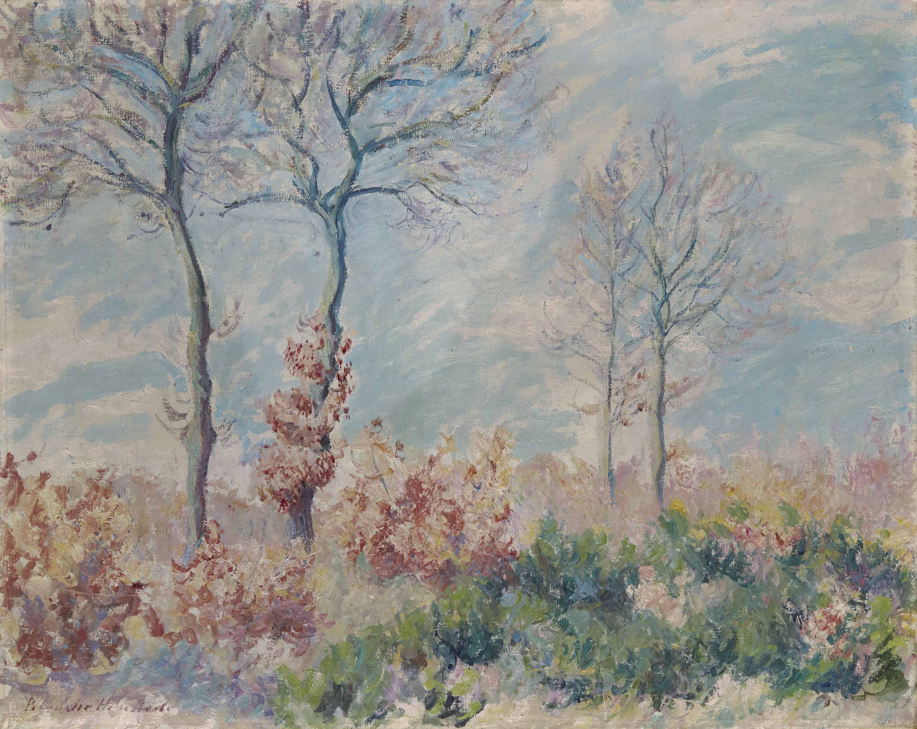 Blanche Hoschedé-Monet — Лес Фалезский
