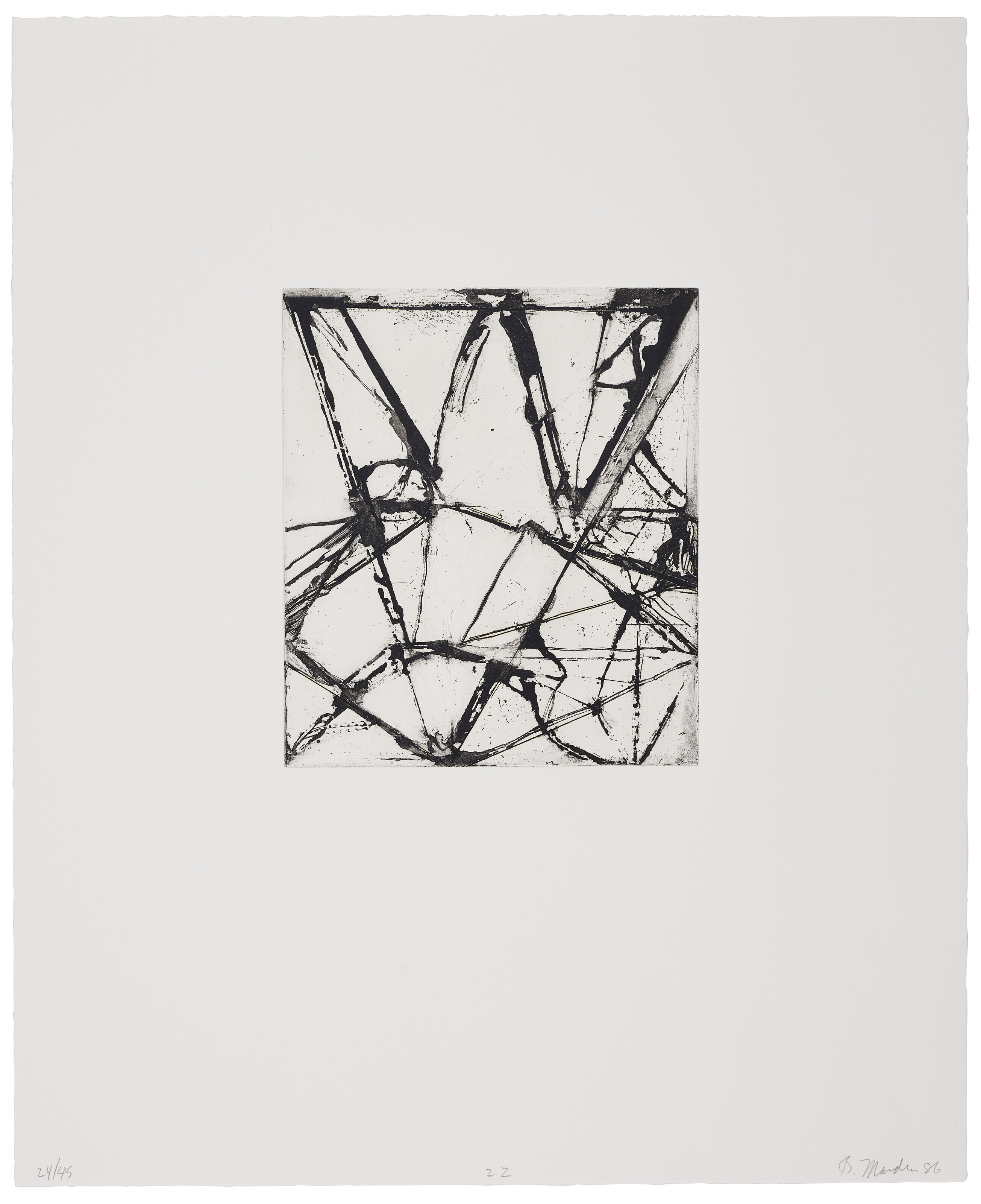 Brice Marden — Гравюры для Rexroth, изображение 24