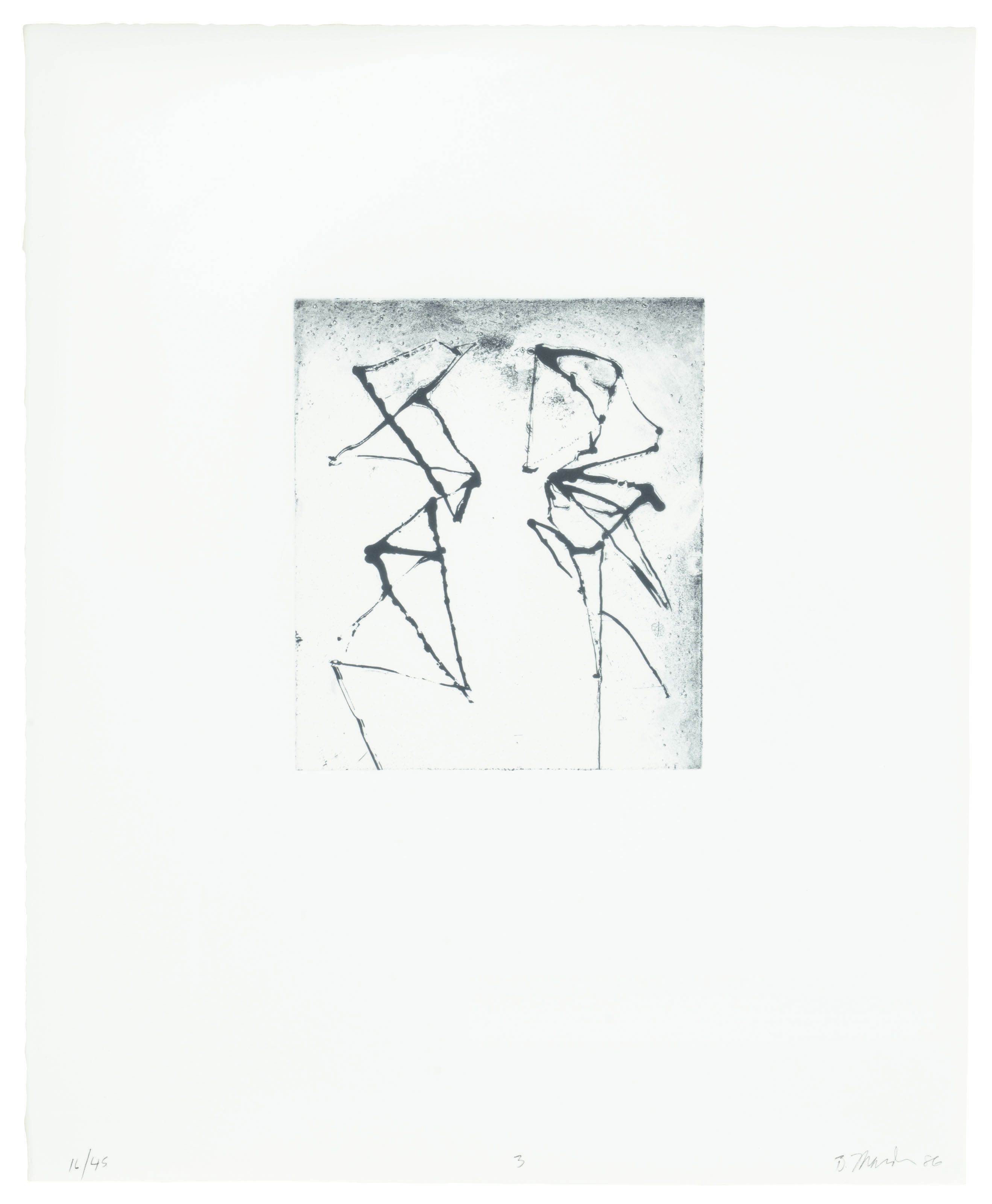 Brice Marden — Гравюры для Rexroth, изображение 4