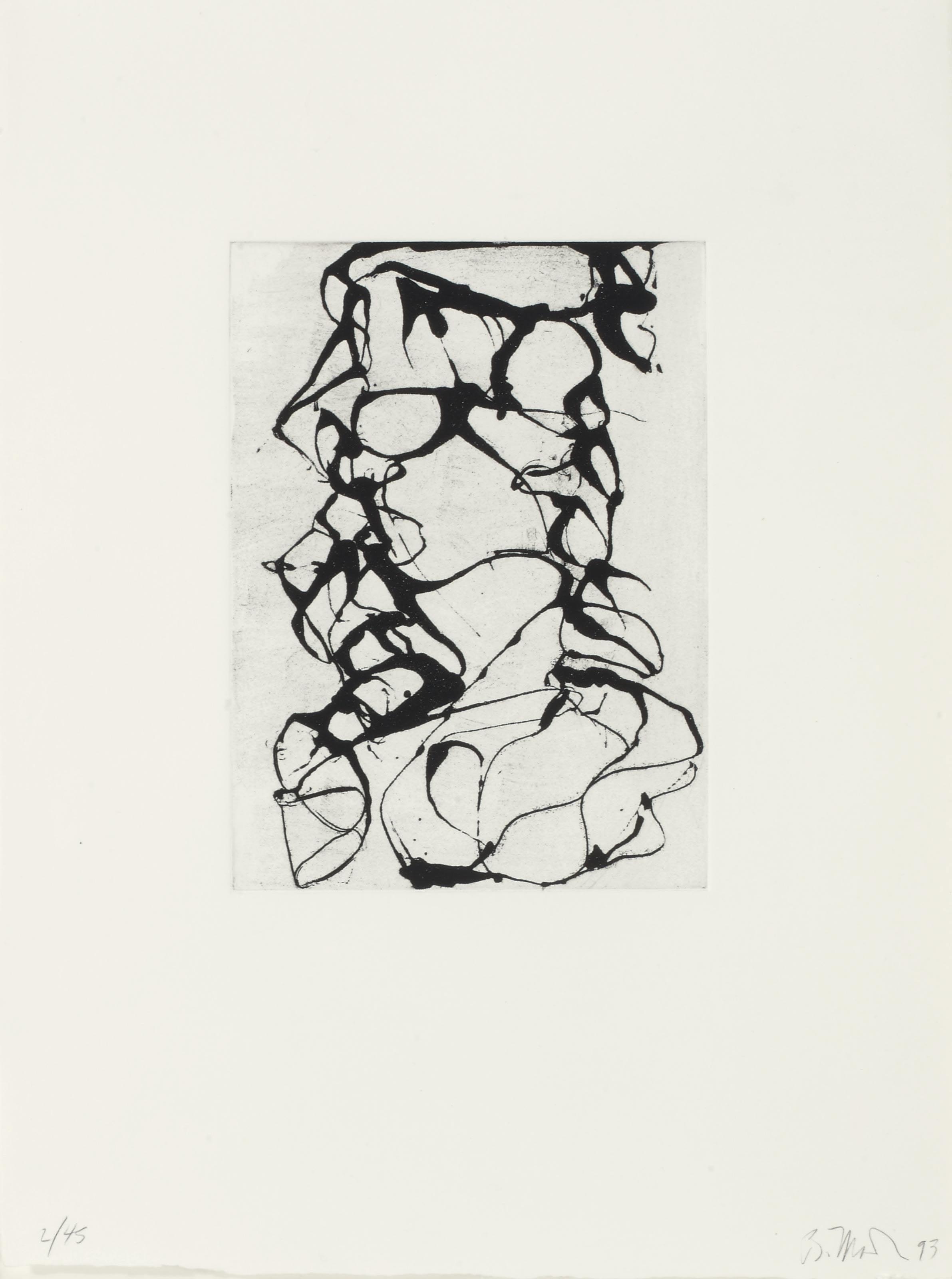 Brice Marden — Выход из Хань Шаня, изображение 5
