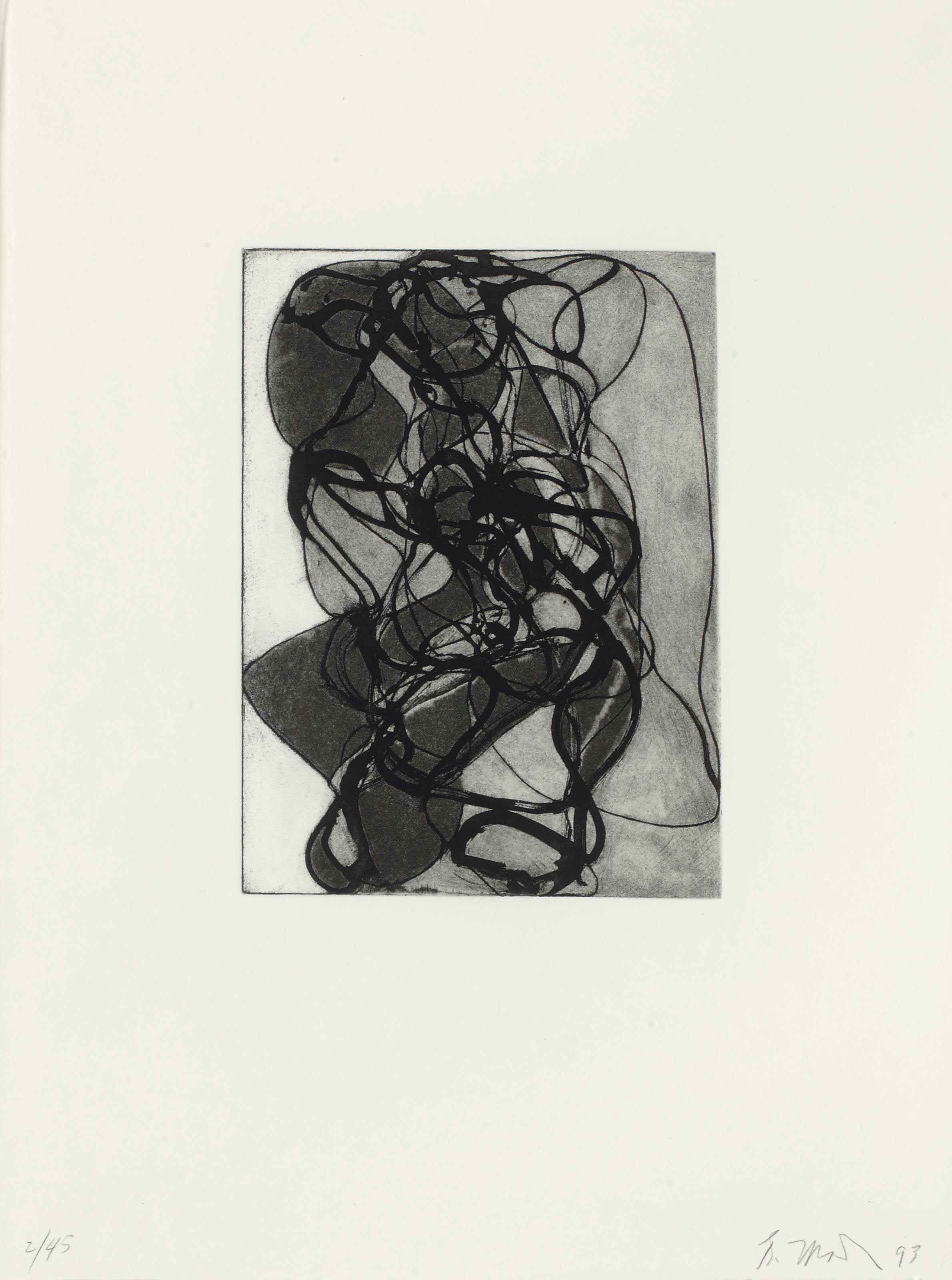 Brice Marden — Выход из Хань Шаня, изображение 6