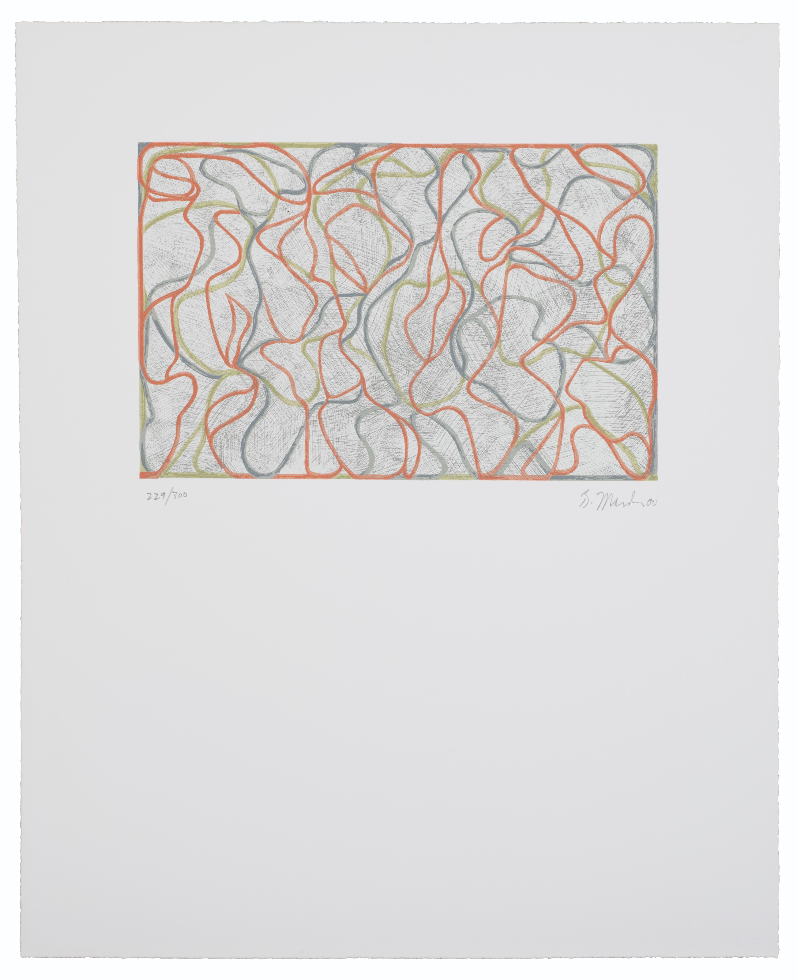 Brice Marden — Далекие музы