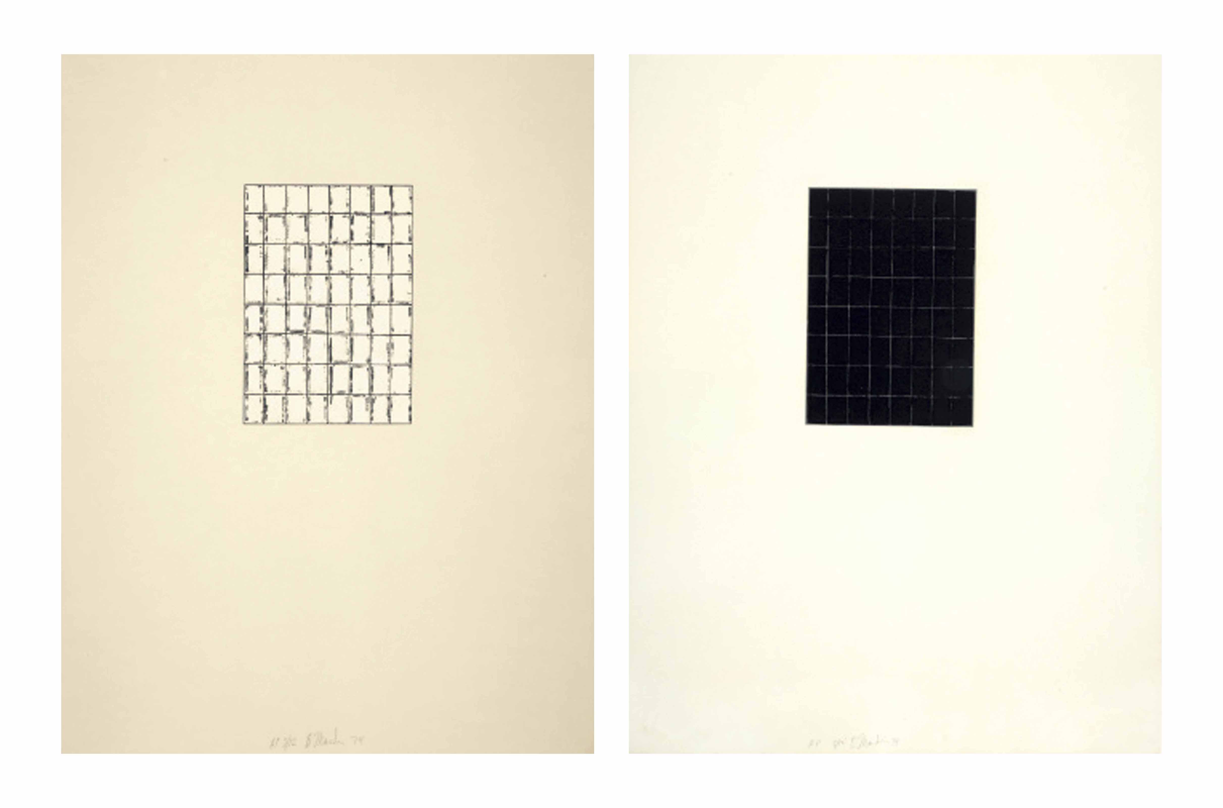 Brice Marden — Уроки живописи I и II