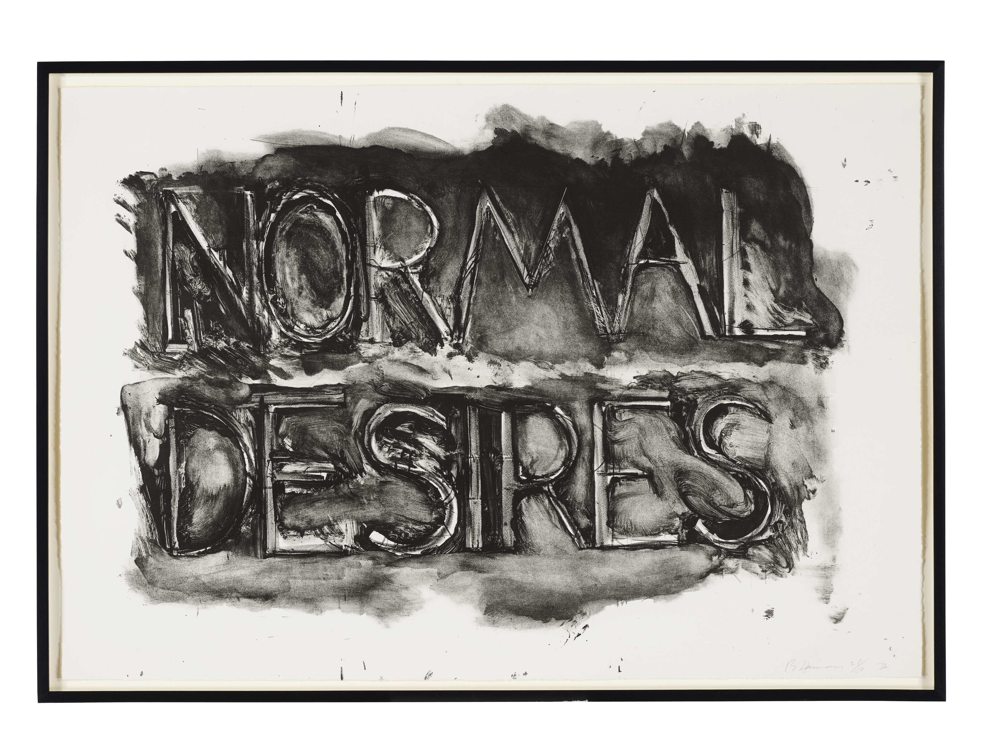 Bruce Nauman — Нормальные желания, изображение 2