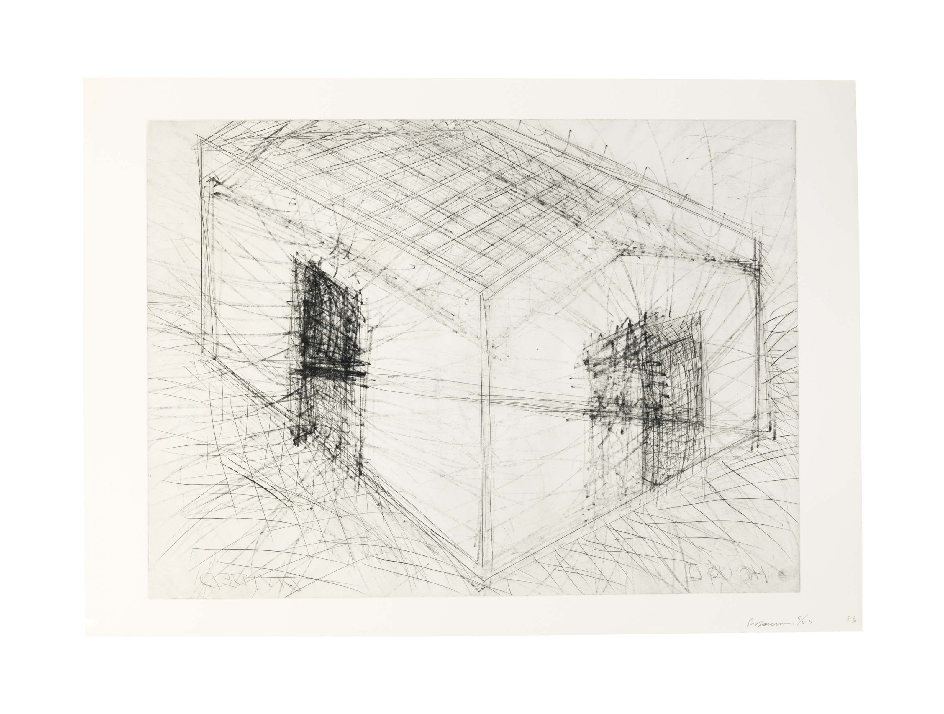 Bruce Nauman — Разделенный дом