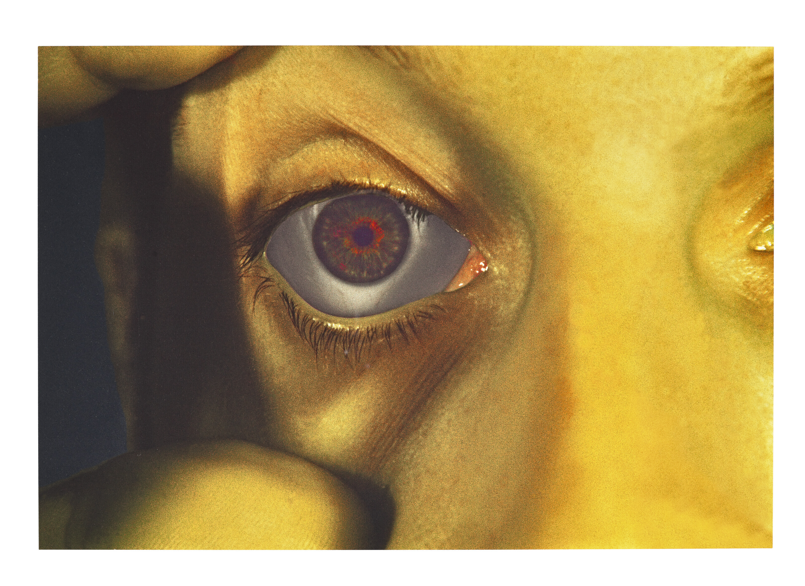 Bruce Nauman — Инфракрасные выходы, изображение 5