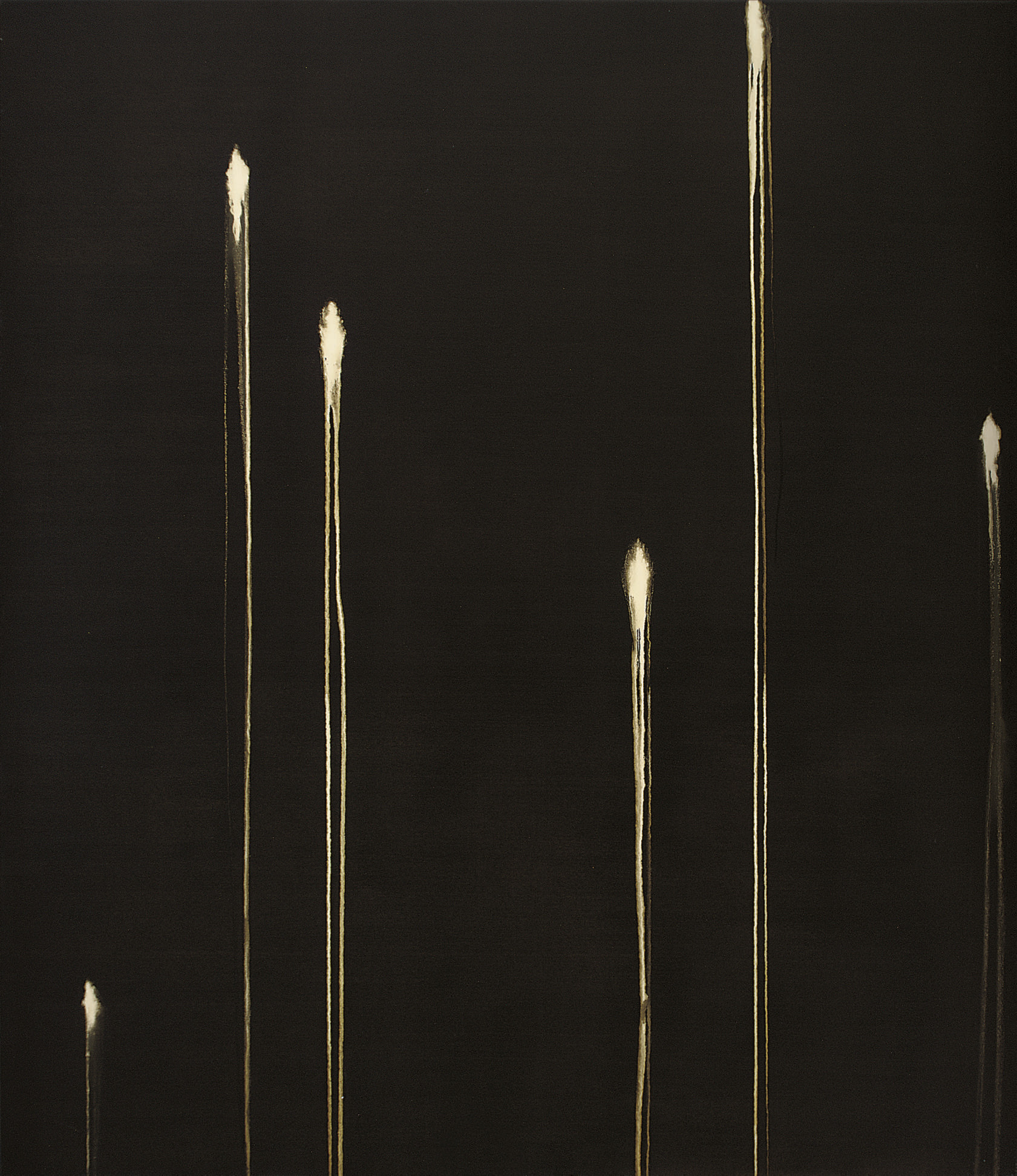Callum Innes — Шесть идентифицированных форм