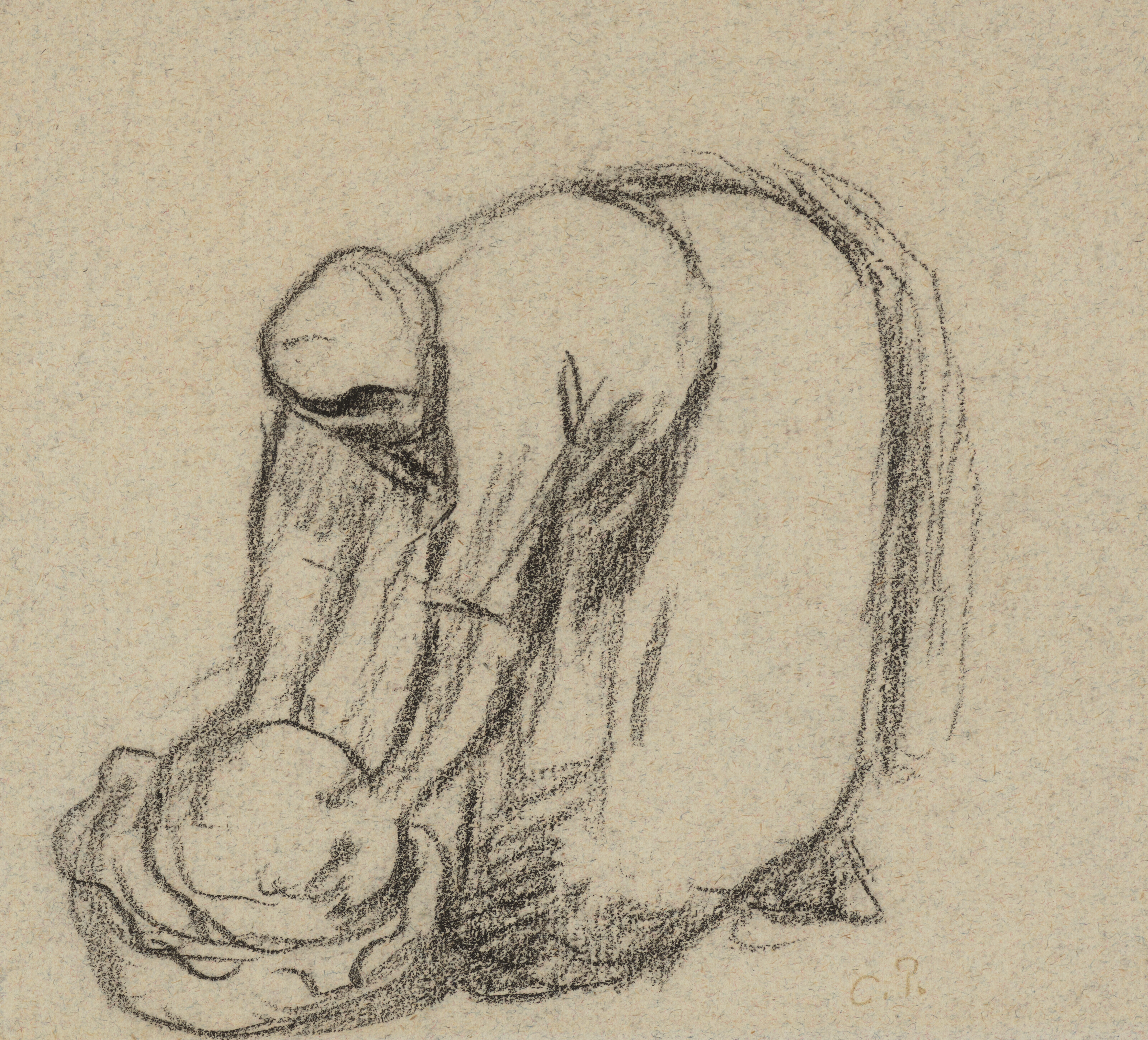 Camille Pissarro — Пейсанн ( спереди и сзади ), изображение 1