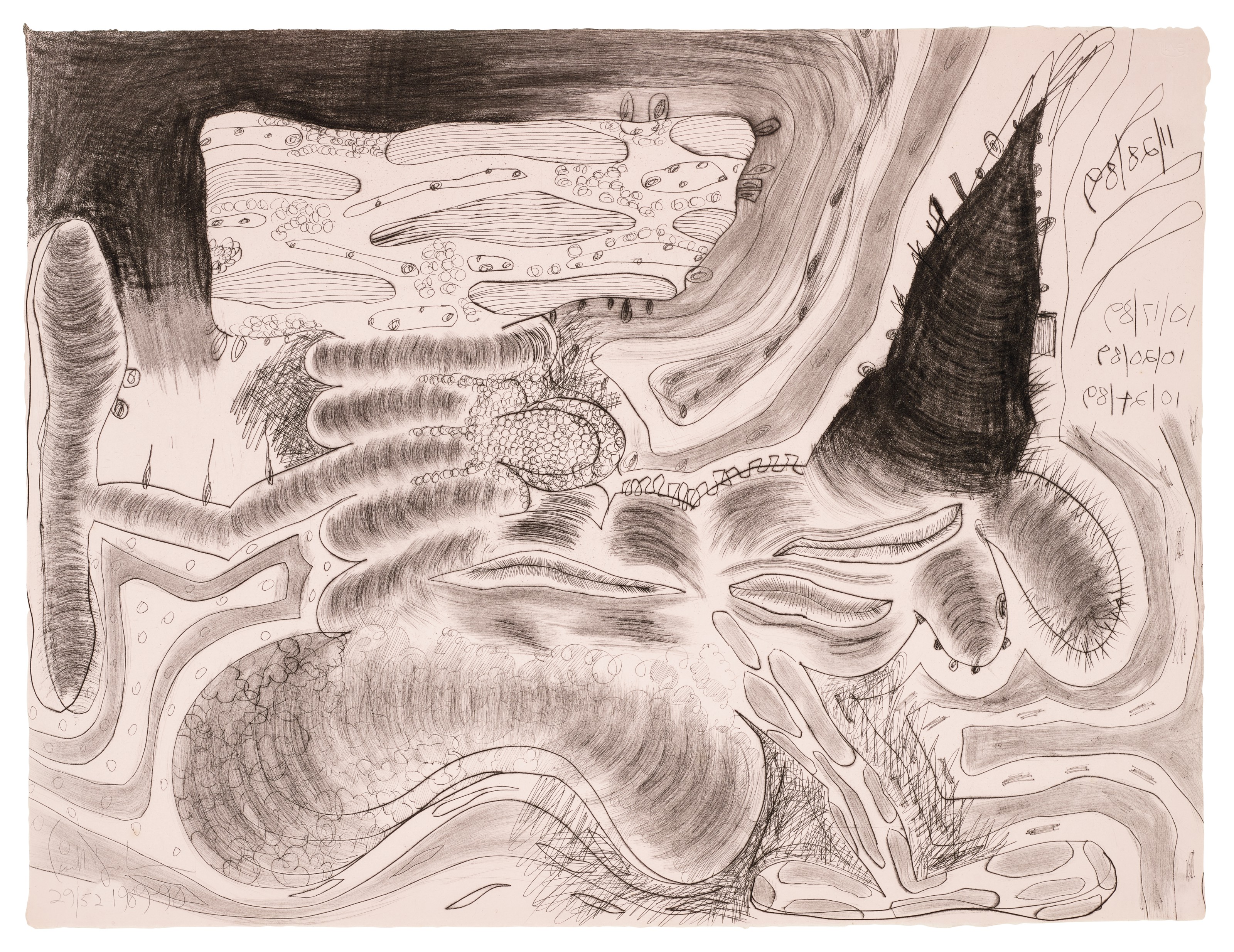 Carroll Dunham — Соприкасаясь двумя Сторонами