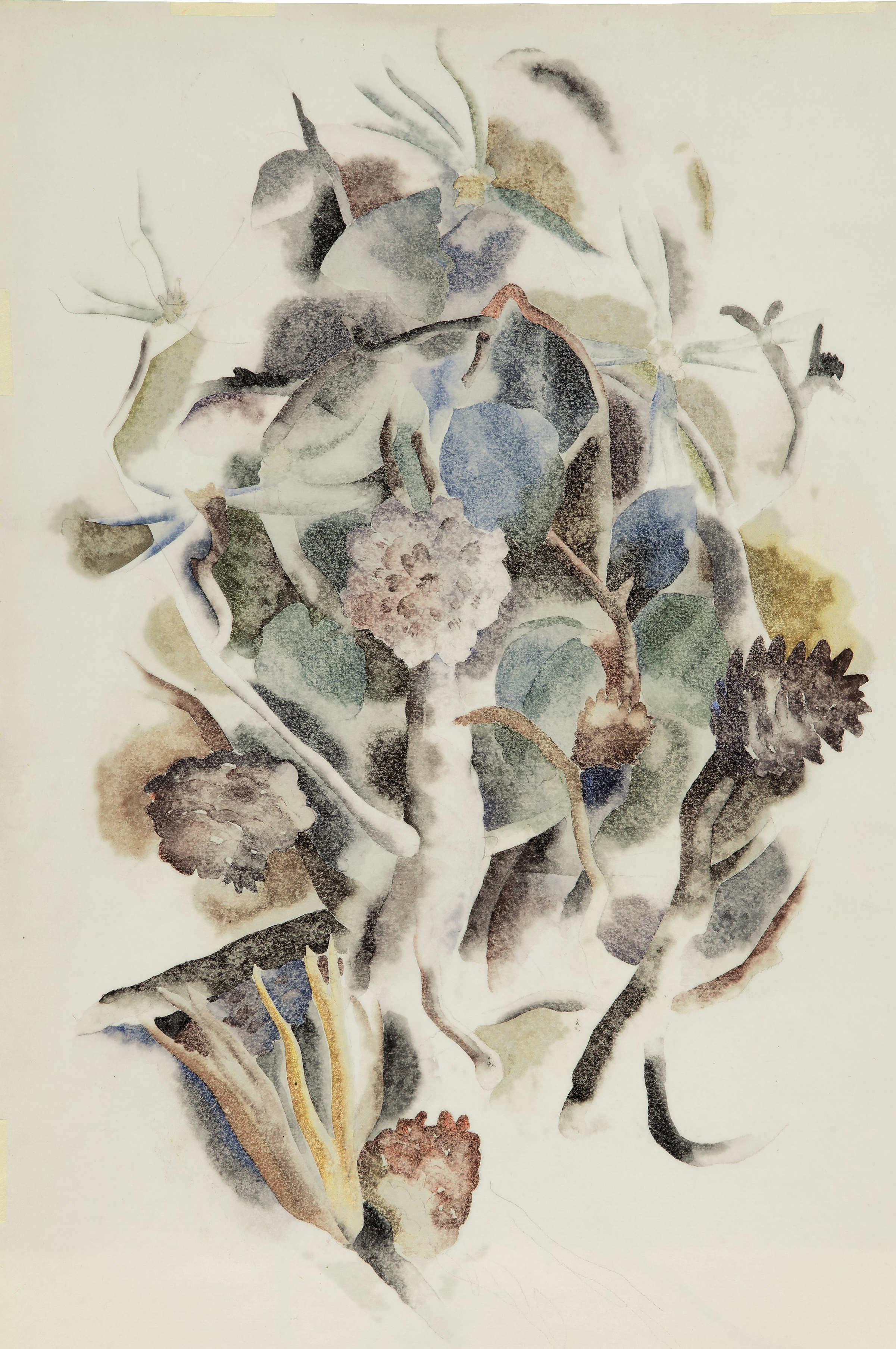 Charles Demuth — Циннии: Двусторонняя работа, изображение 2