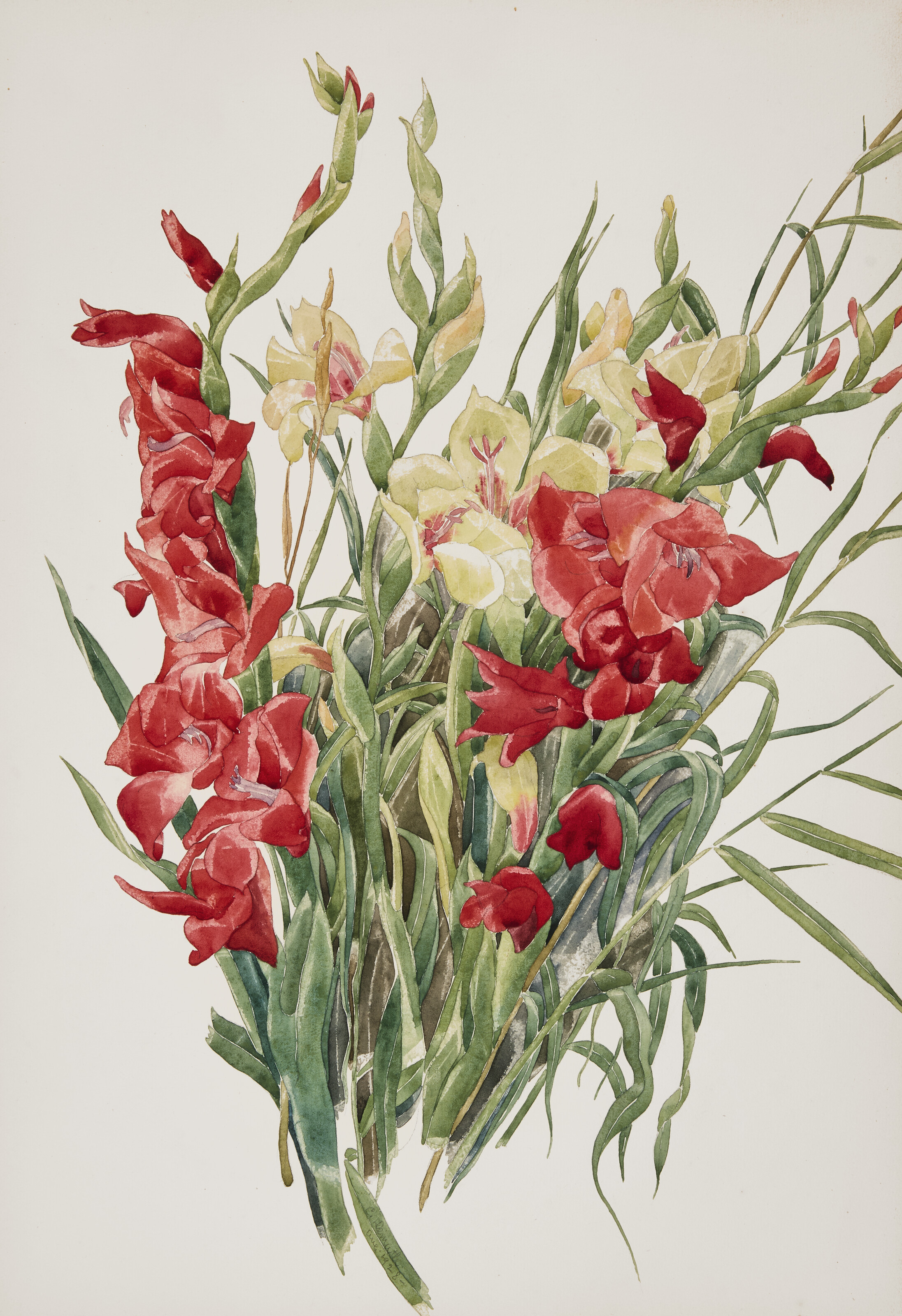 Charles Demuth — Красные и желтые гладиолусы, изображение 1