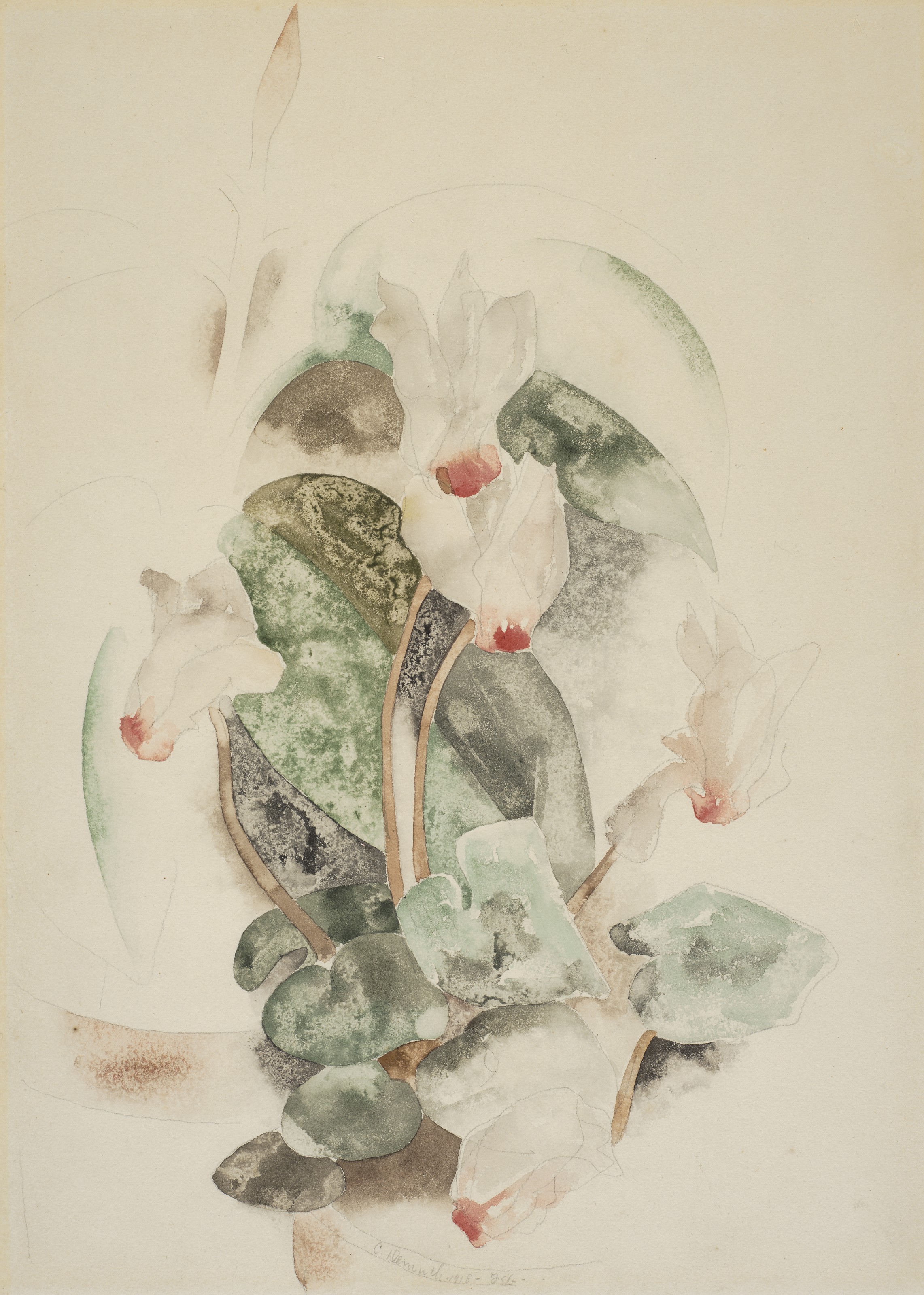 Charles Demuth — Цикламен