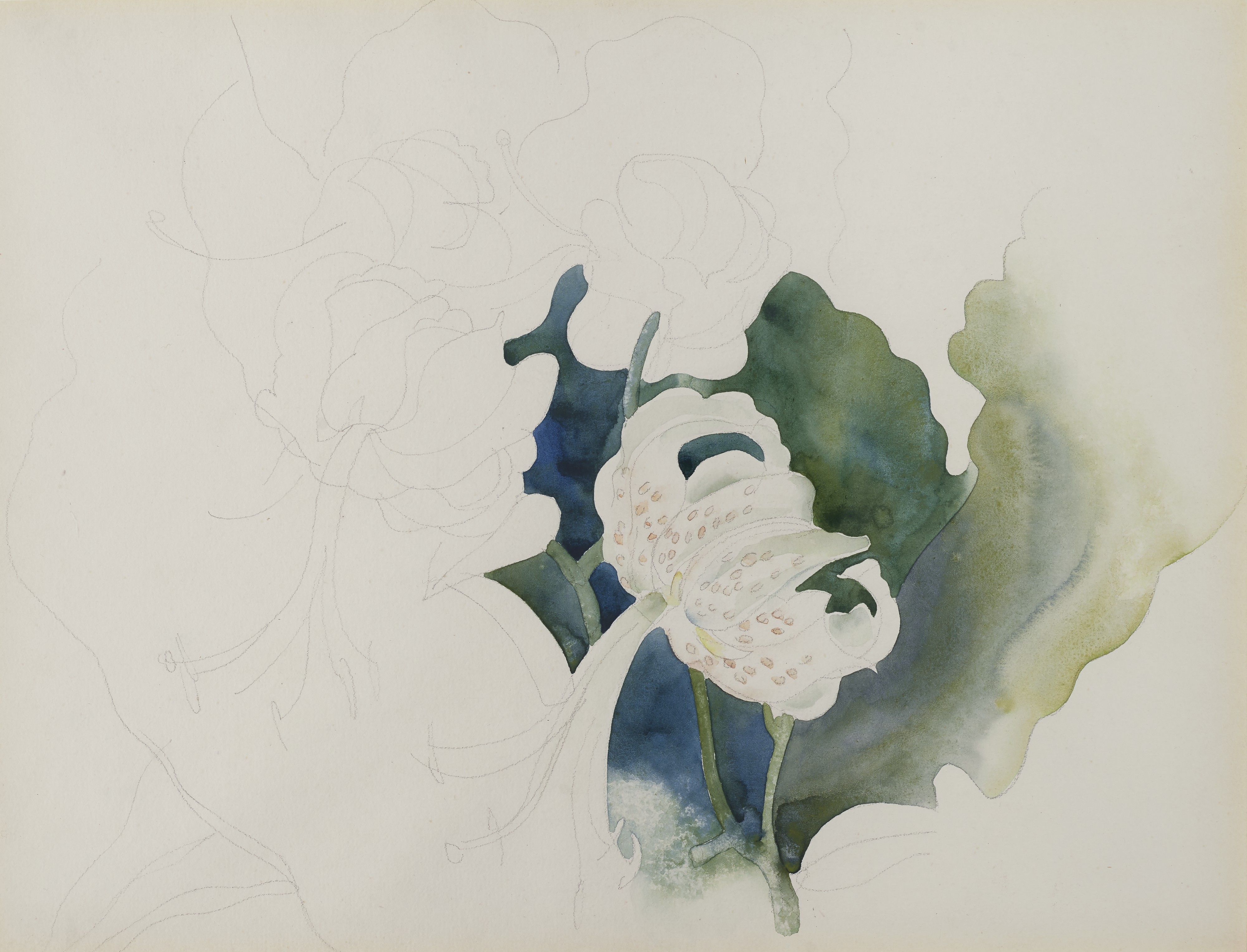 Charles Demuth — Лилия Ротшильда №2
